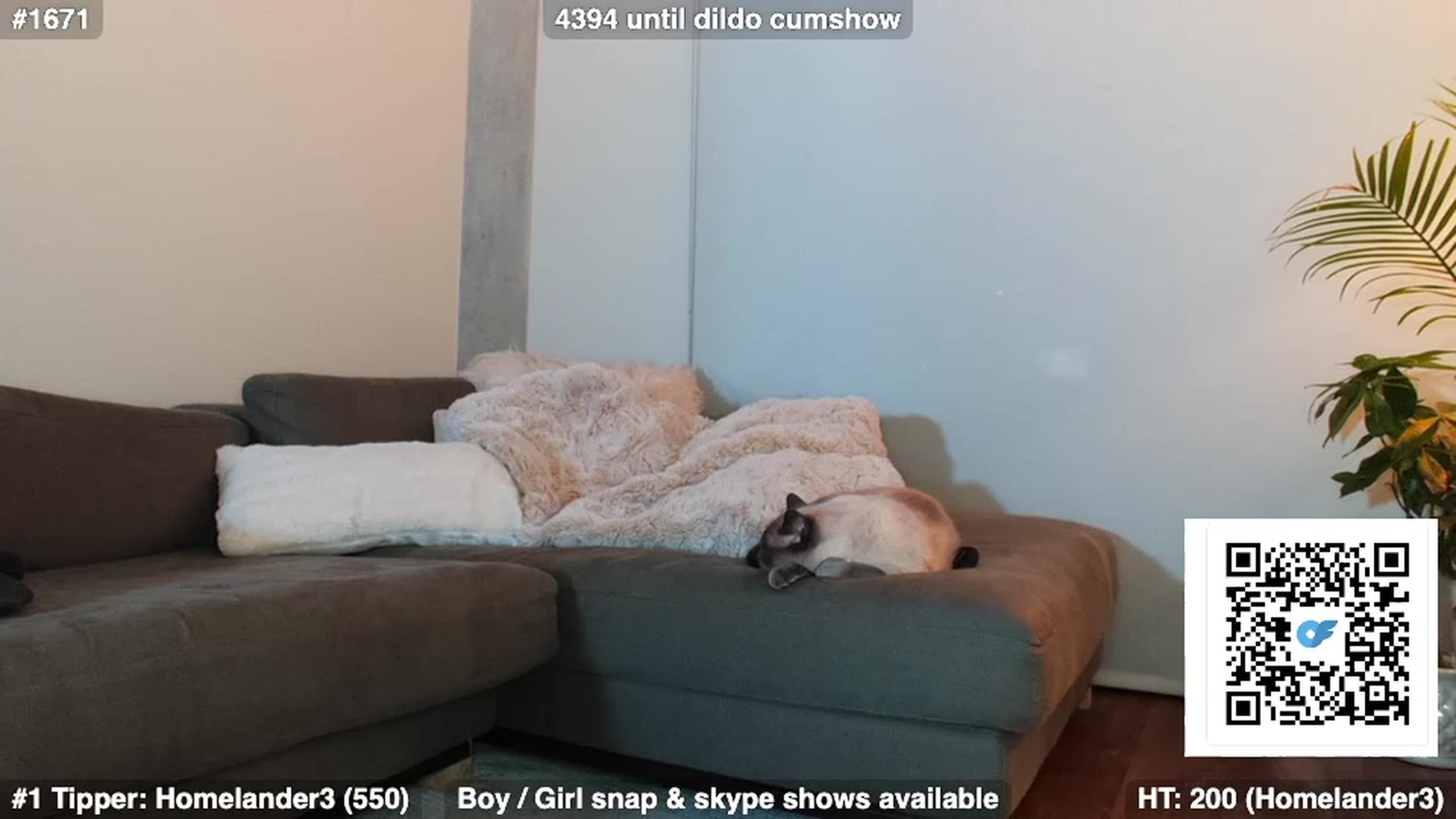 Gallery image thumbnail from Brookebaby_'s myfreecams stream on, 01/20/2023, 09:49 image 12 of 20