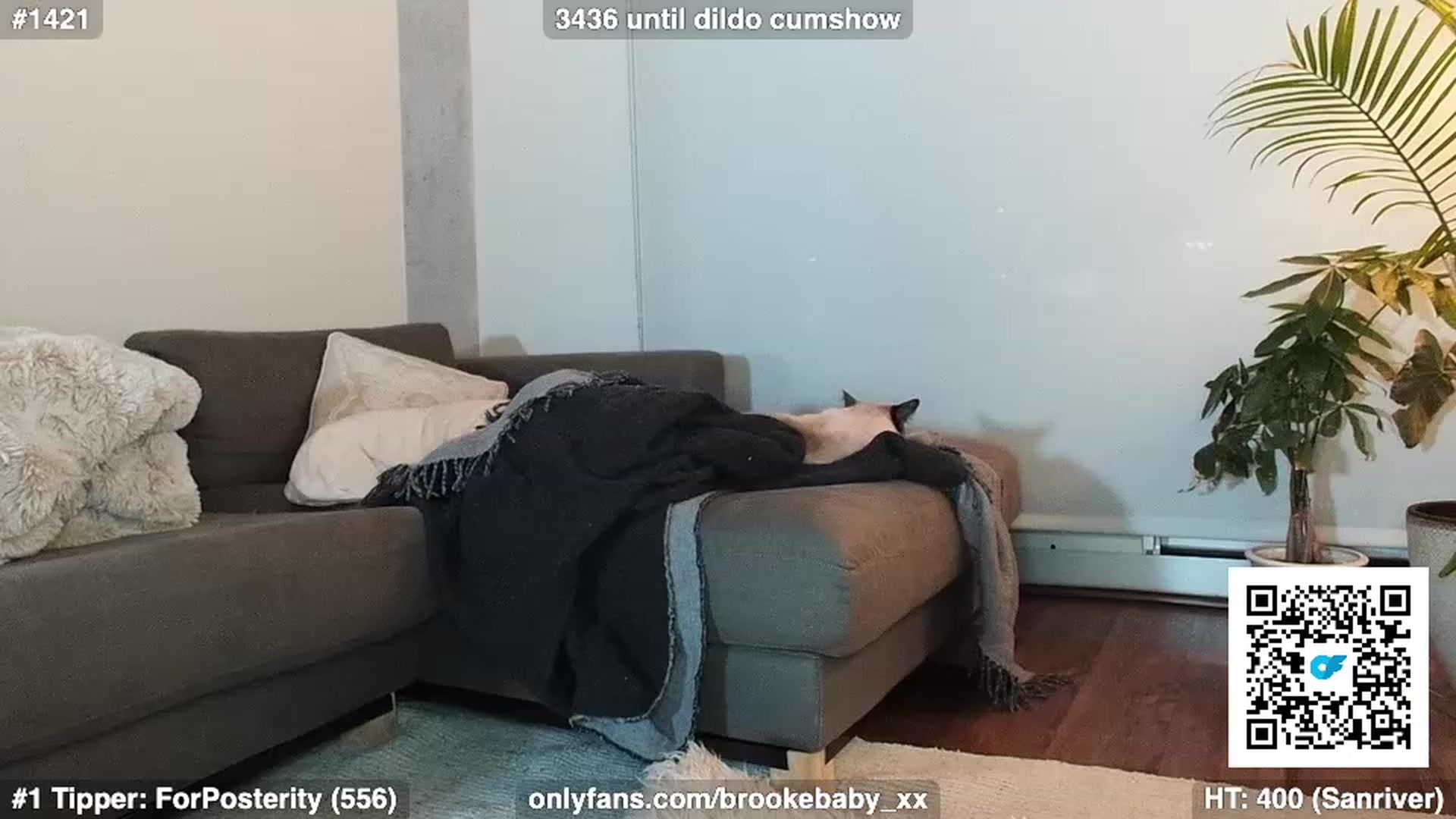 Gallery image thumbnail from Brookebaby_'s myfreecams stream on, 01/21/2023, 10:59 image 18 of 20