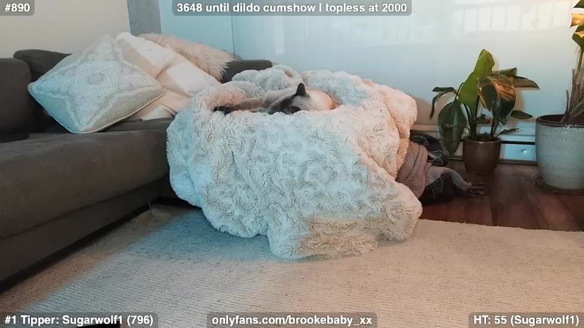 Gallery image thumbnail from Brookebaby_'s myfreecams stream on, 01/27/2023, 13:43 image 20 of 20