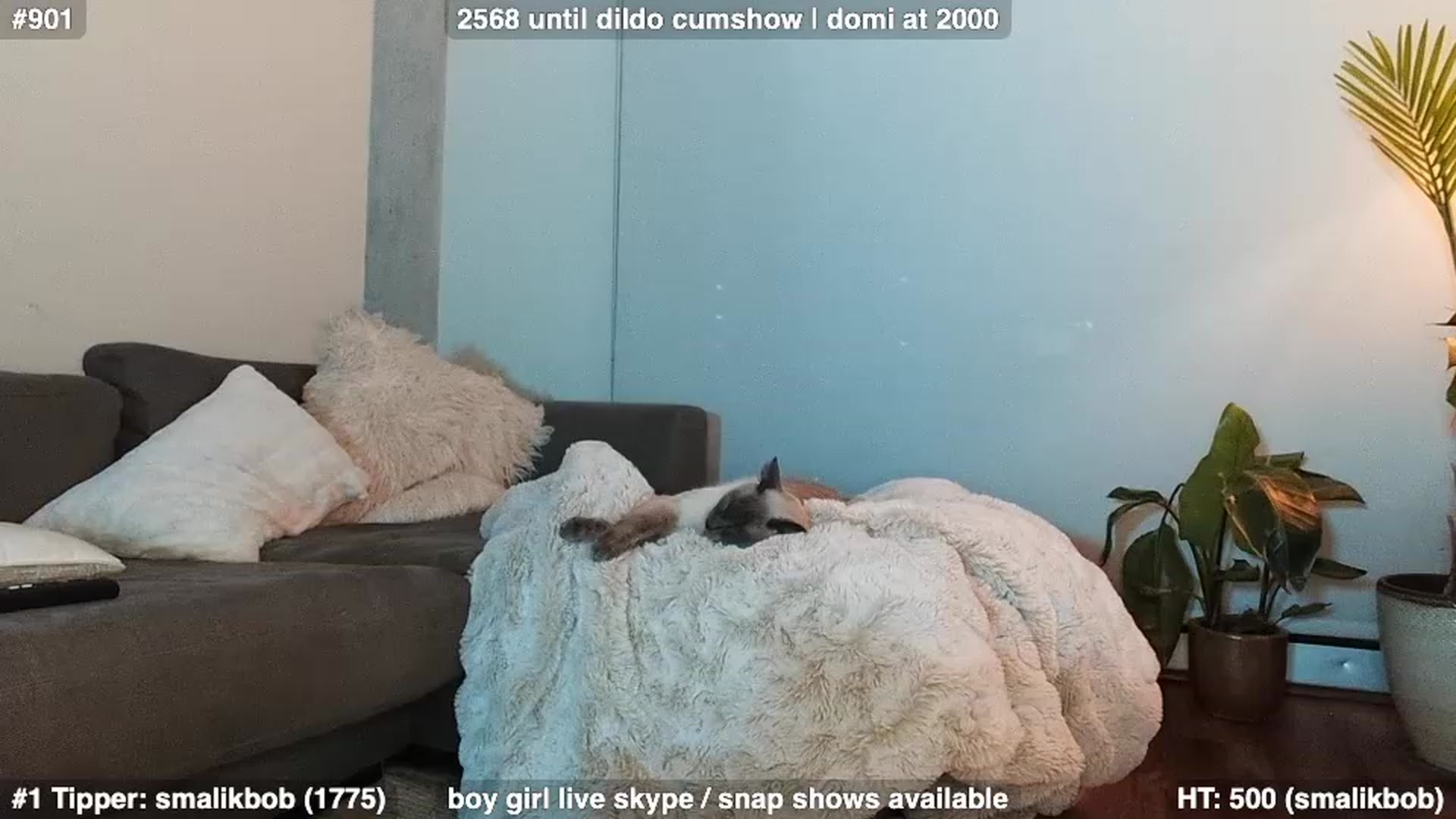 Gallery image thumbnail from Brookebaby_'s myfreecams stream on, 01/28/2023, 12:56 image 13 of 20