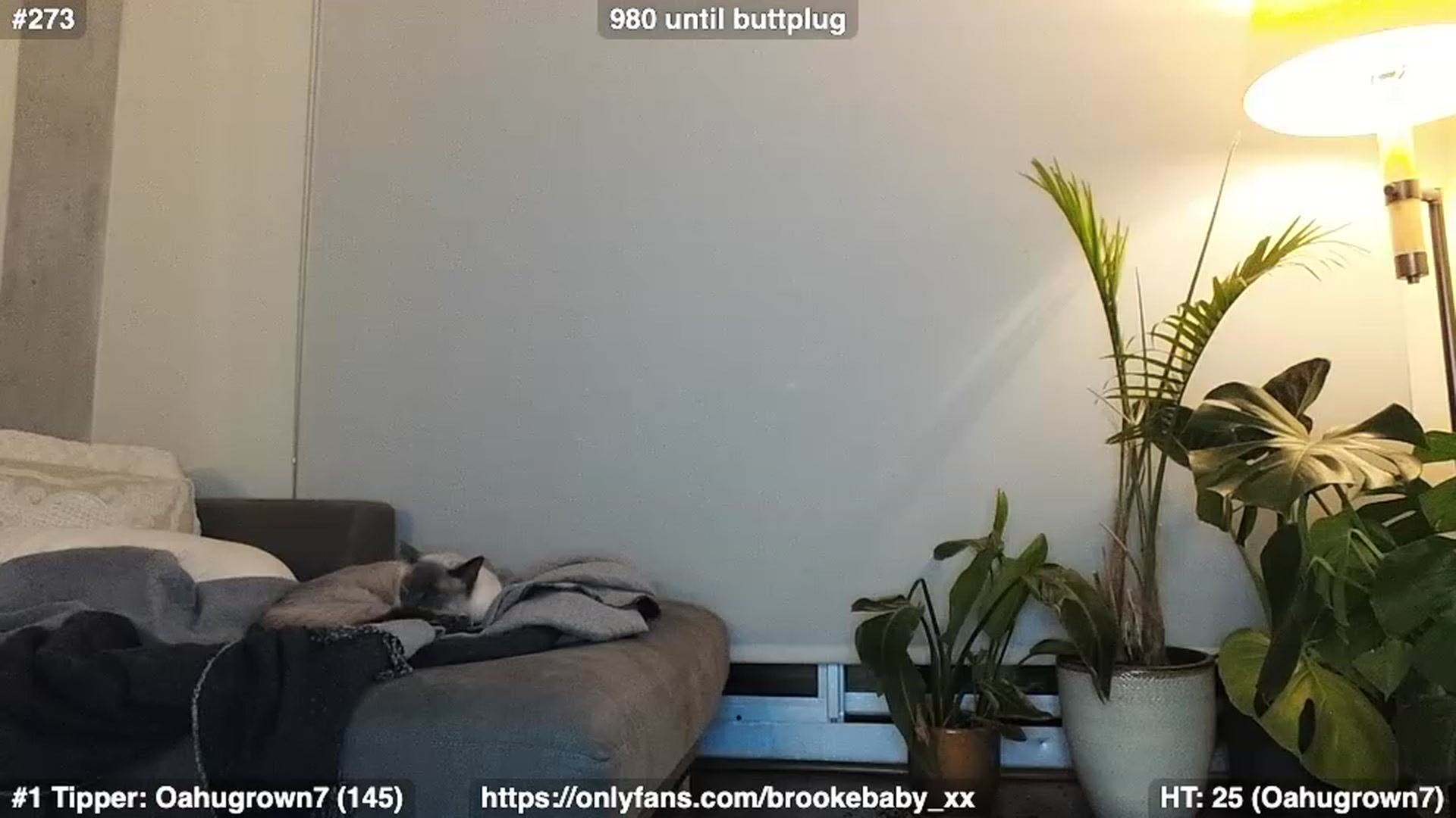 Gallery image thumbnail from Brookebaby_'s myfreecams stream on, 02/01/2023, 12:37 image 19 of 20