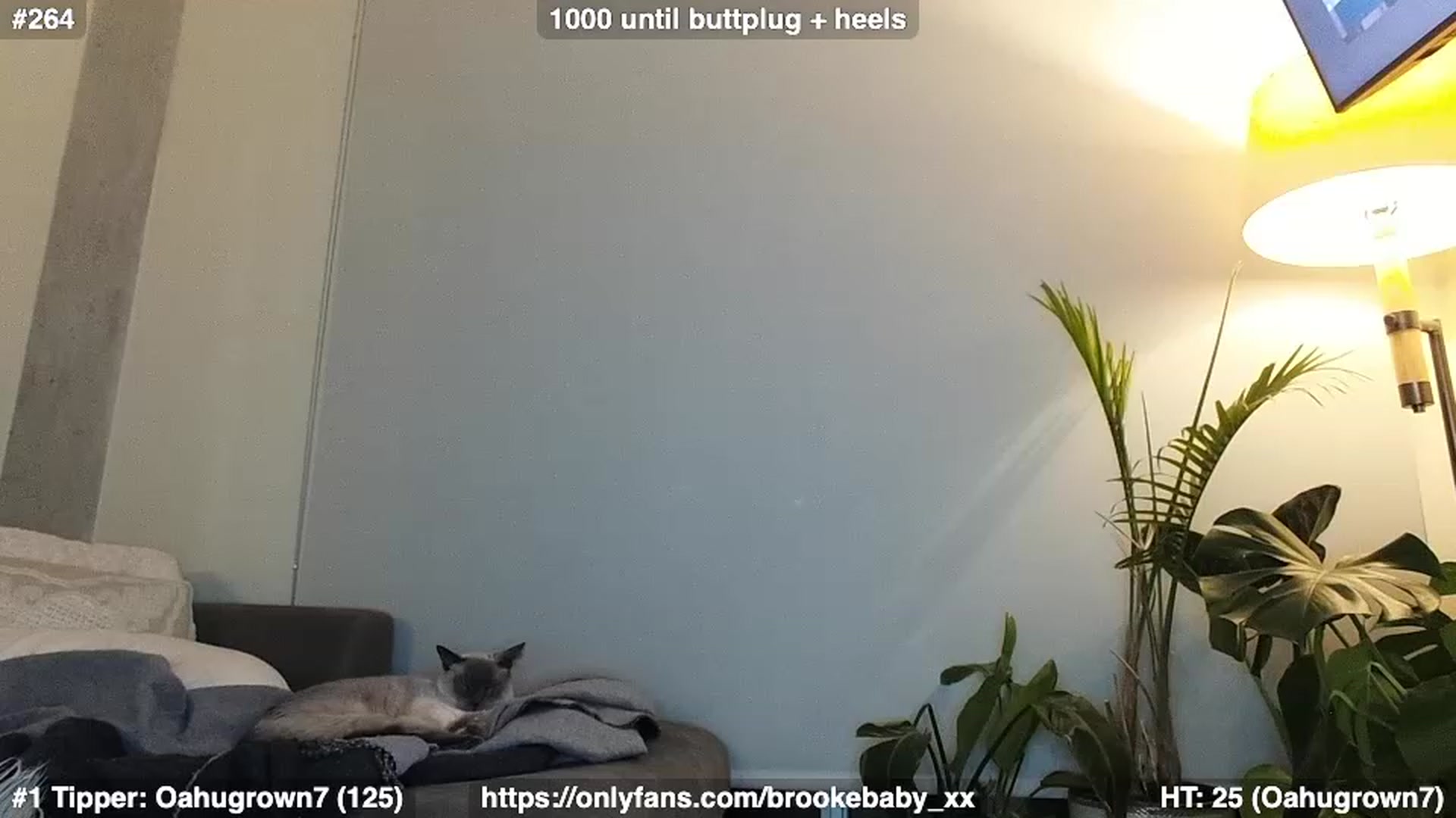 Gallery image thumbnail from Brookebaby_'s myfreecams stream on, 02/01/2023, 12:37 image 15 of 20