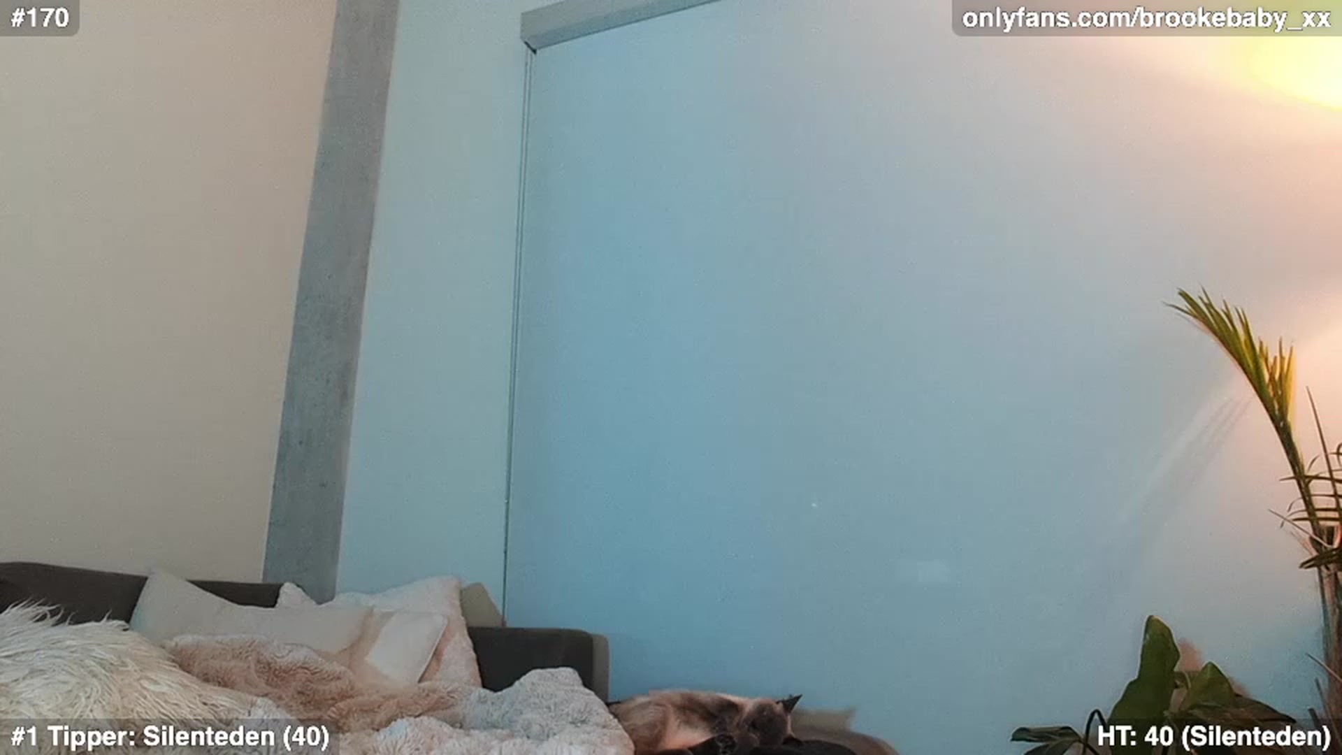 Gallery image thumbnail from Brookebaby_'s myfreecams stream on, 02/02/2023, 09:12 image 7 of 20