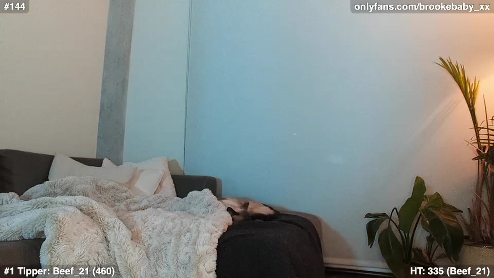 Gallery image thumbnail from Brookebaby_'s myfreecams stream on, 02/02/2023, 09:52 image 3 of 20