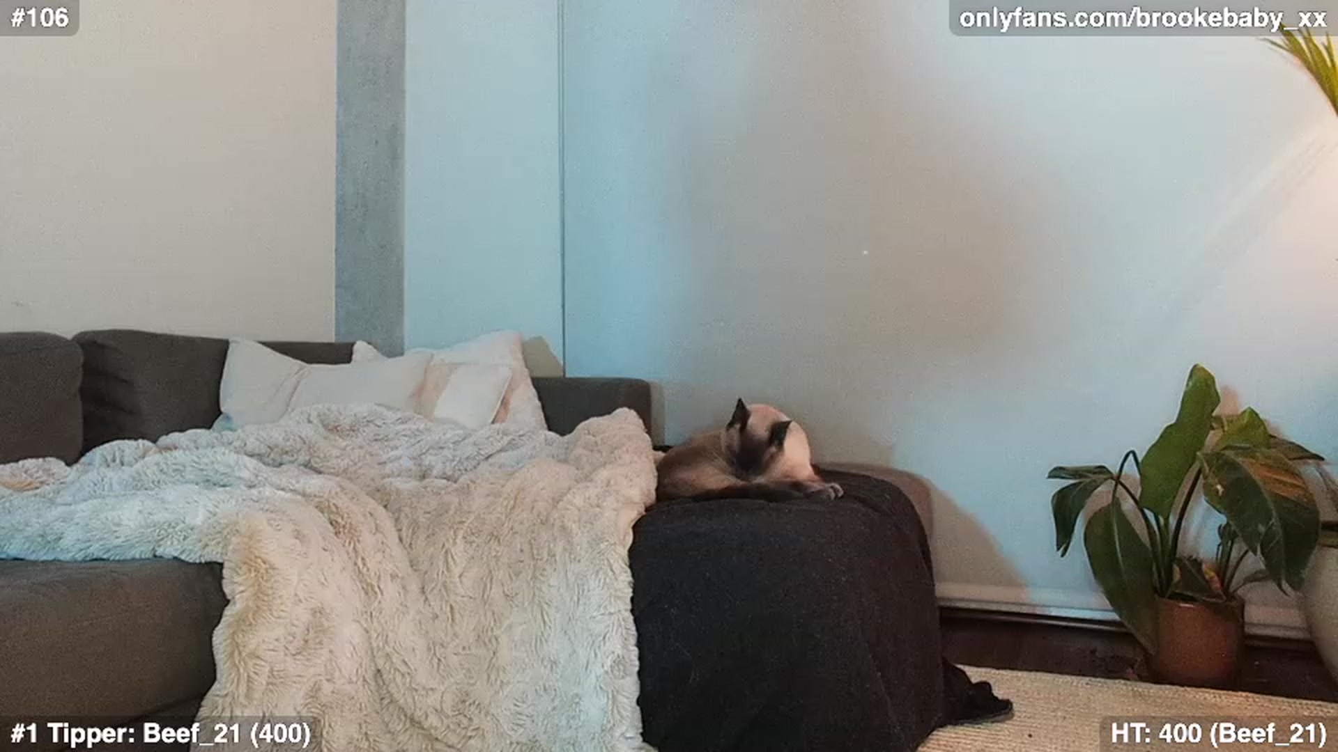 Gallery image thumbnail from Brookebaby_'s myfreecams stream on, 02/02/2023, 12:32 image 2 of 20