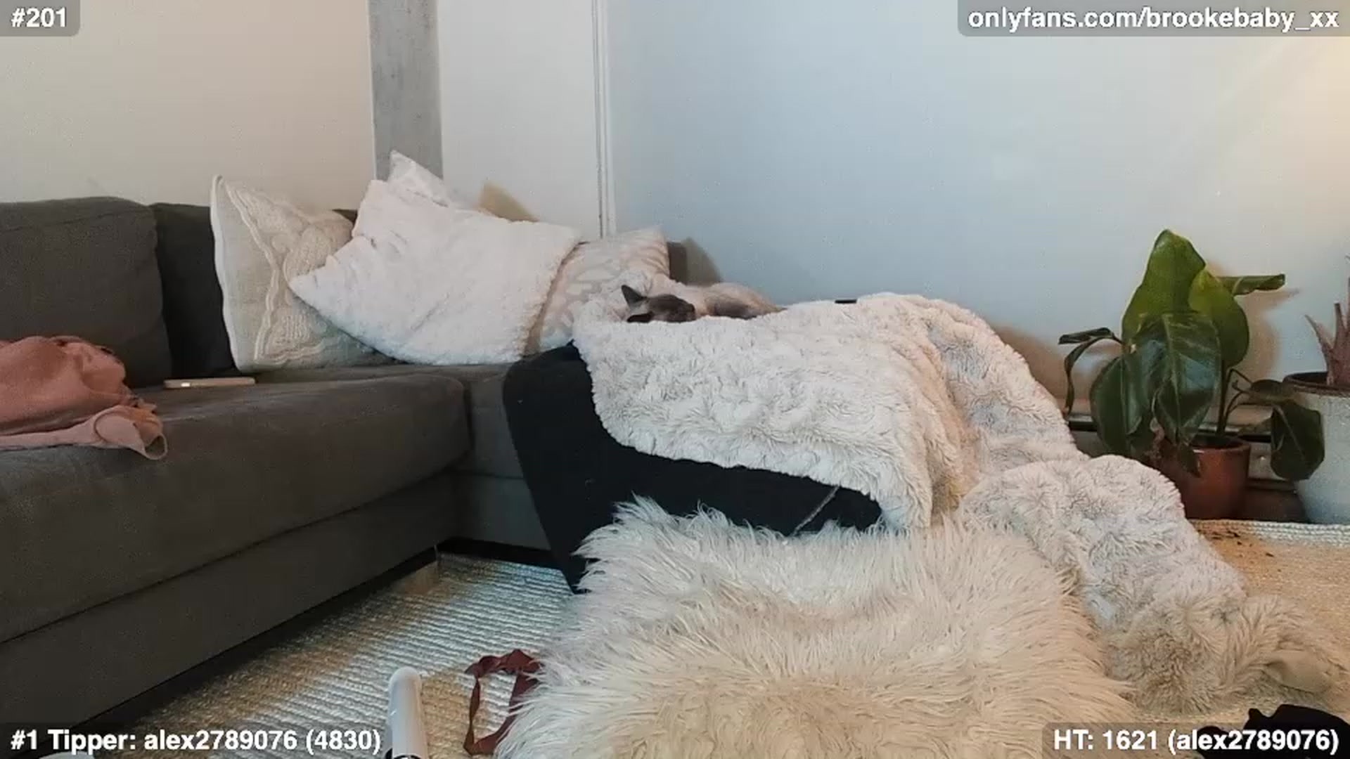Gallery image thumbnail from Brookebaby_'s myfreecams stream on, 02/04/2023, 14:04 image 6 of 20