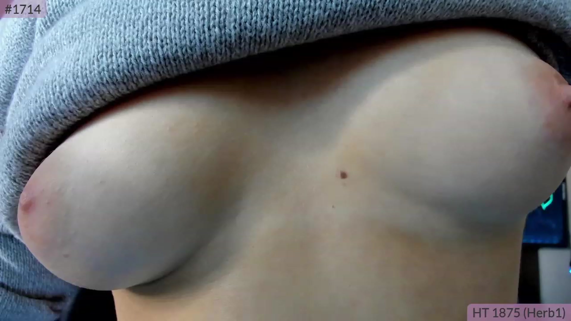 Gallery image thumbnail from Brookebee27's myfreecams stream on, 11/21/2022, 02:39 image 8 of 20