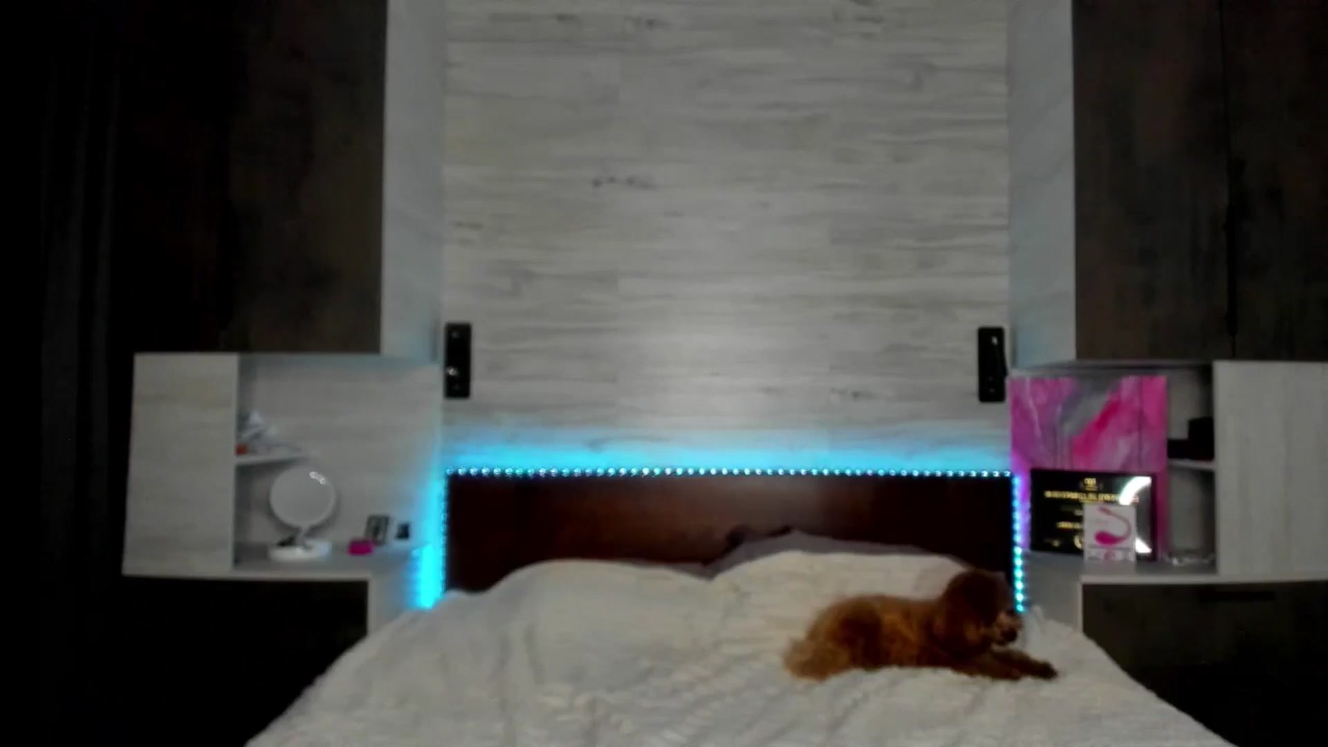 Gallery image thumbnail from Brunnett_Mil's myfreecams stream on, 12/21/2025, 18:51 image 2 of 20
