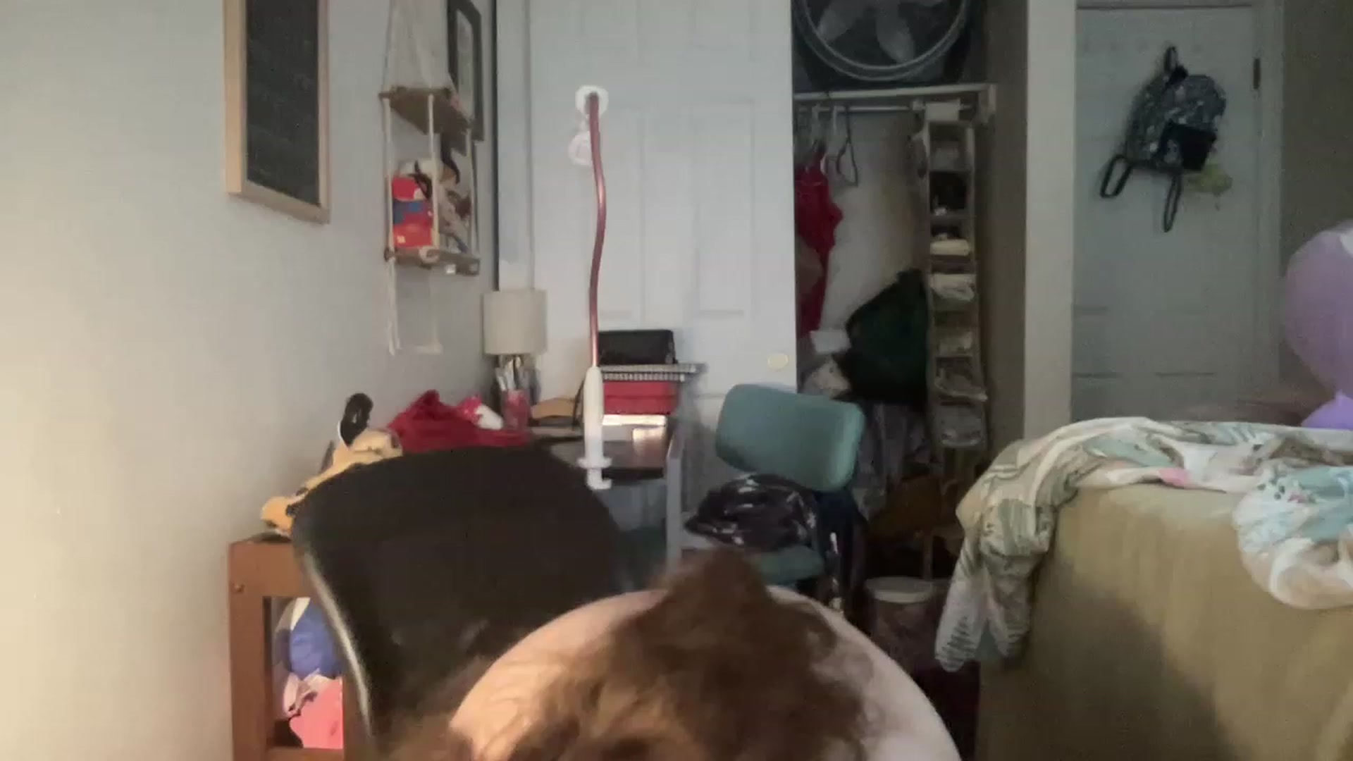Gallery image thumbnail from Bubbleyum1's myfreecams stream on, 06/19/2023, 23:41 image 1 of 20