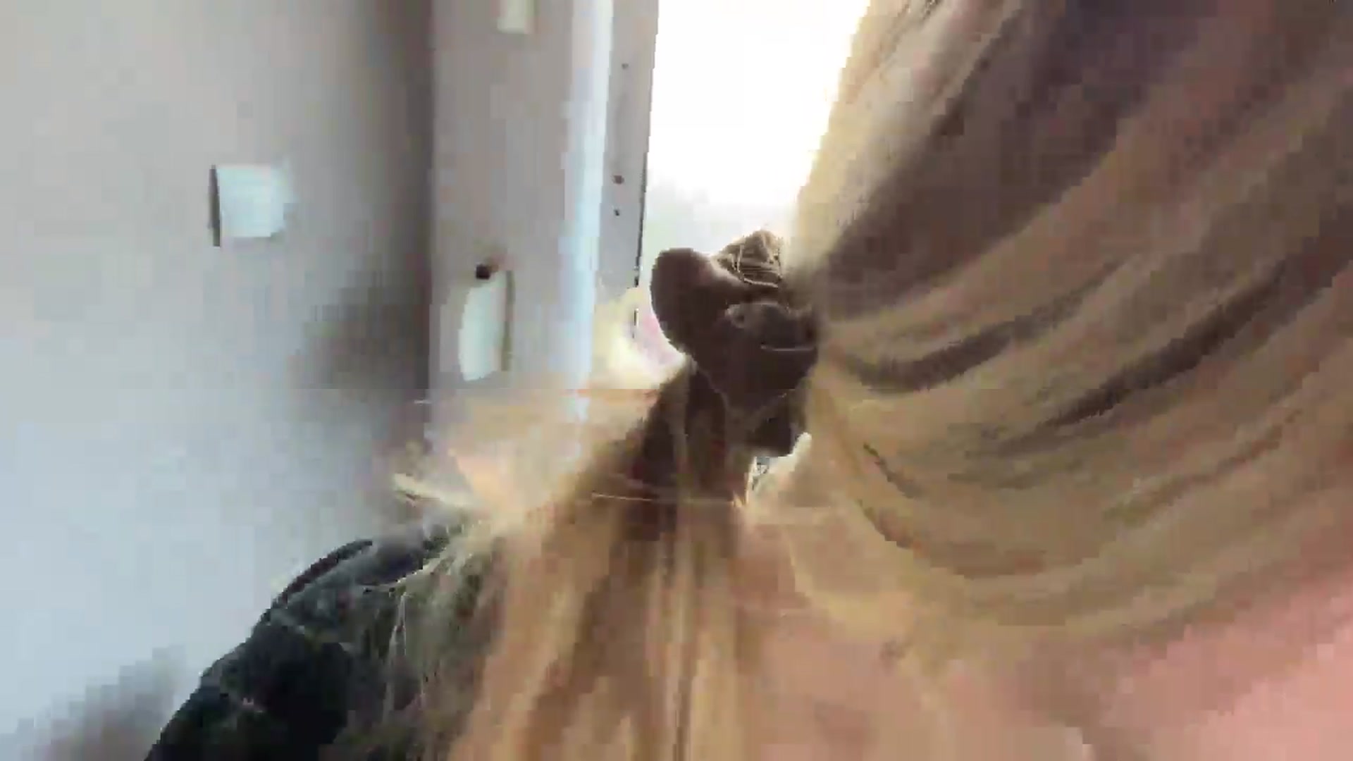 Gallery image thumbnail from BuckwheatLady's myfreecams stream on, 11/11/2025, 13:40 image 18 of 20