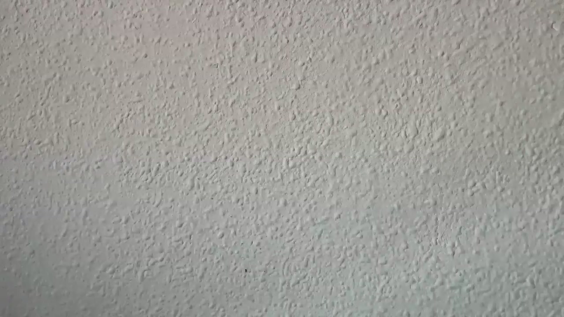 Gallery image thumbnail from BuckwheatLady's myfreecams stream on, 11/16/2025, 10:58 image 8 of 20