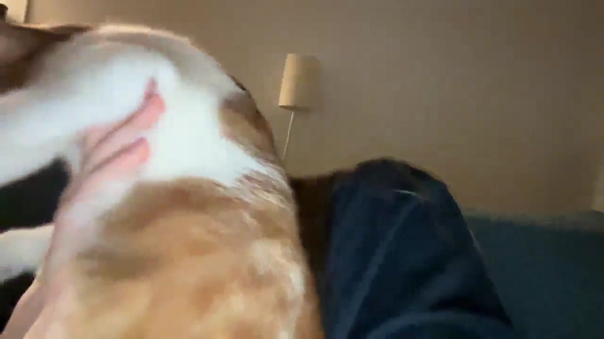 Gallery image thumbnail from BuckwheatLady's myfreecams stream on, 12/28/2025, 16:43 image 10 of 20