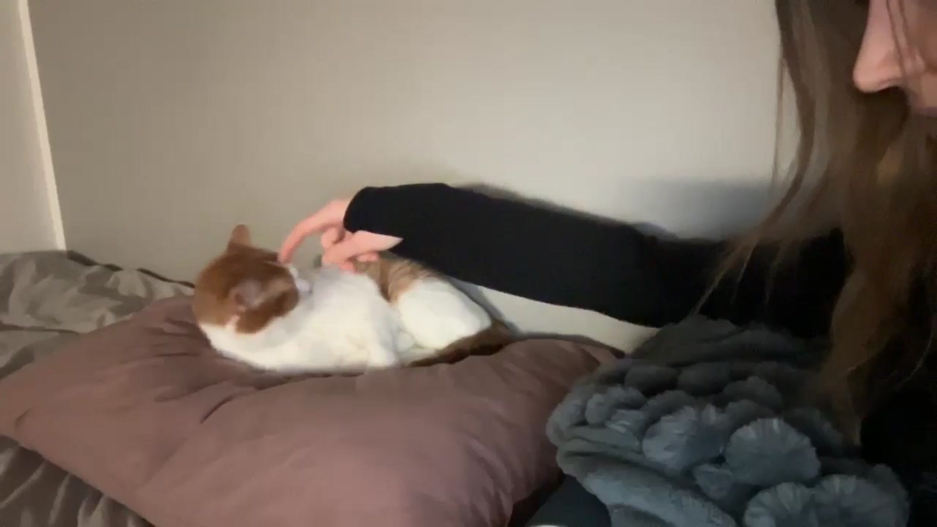 Gallery image thumbnail from BuckwheatLady's myfreecams stream on, 02/15/2026, 19:37 image 8 of 20