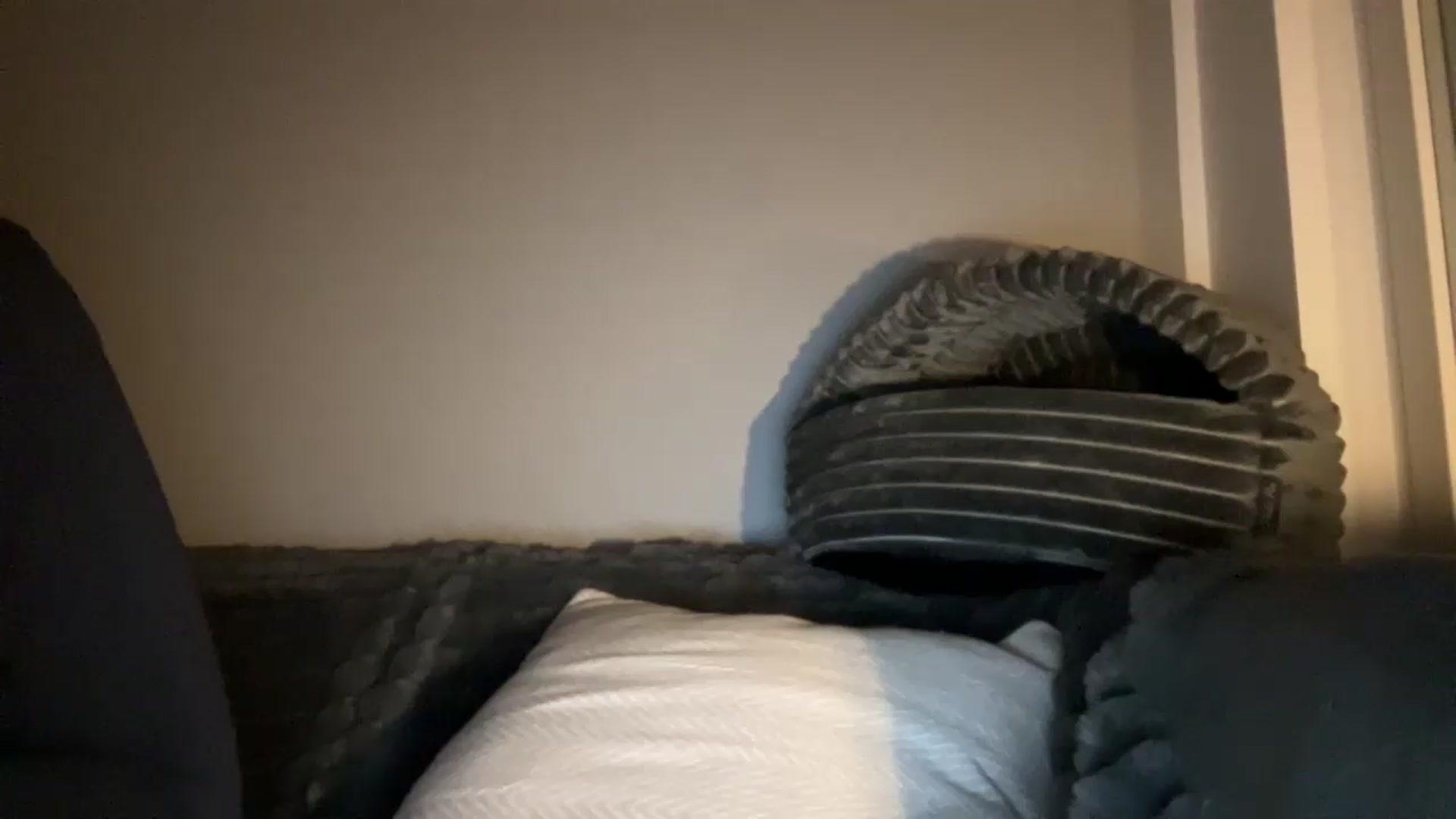 Gallery image thumbnail from BuckwheatLady's myfreecams stream on, 05/15/2026, 20:12 image 20 of 20