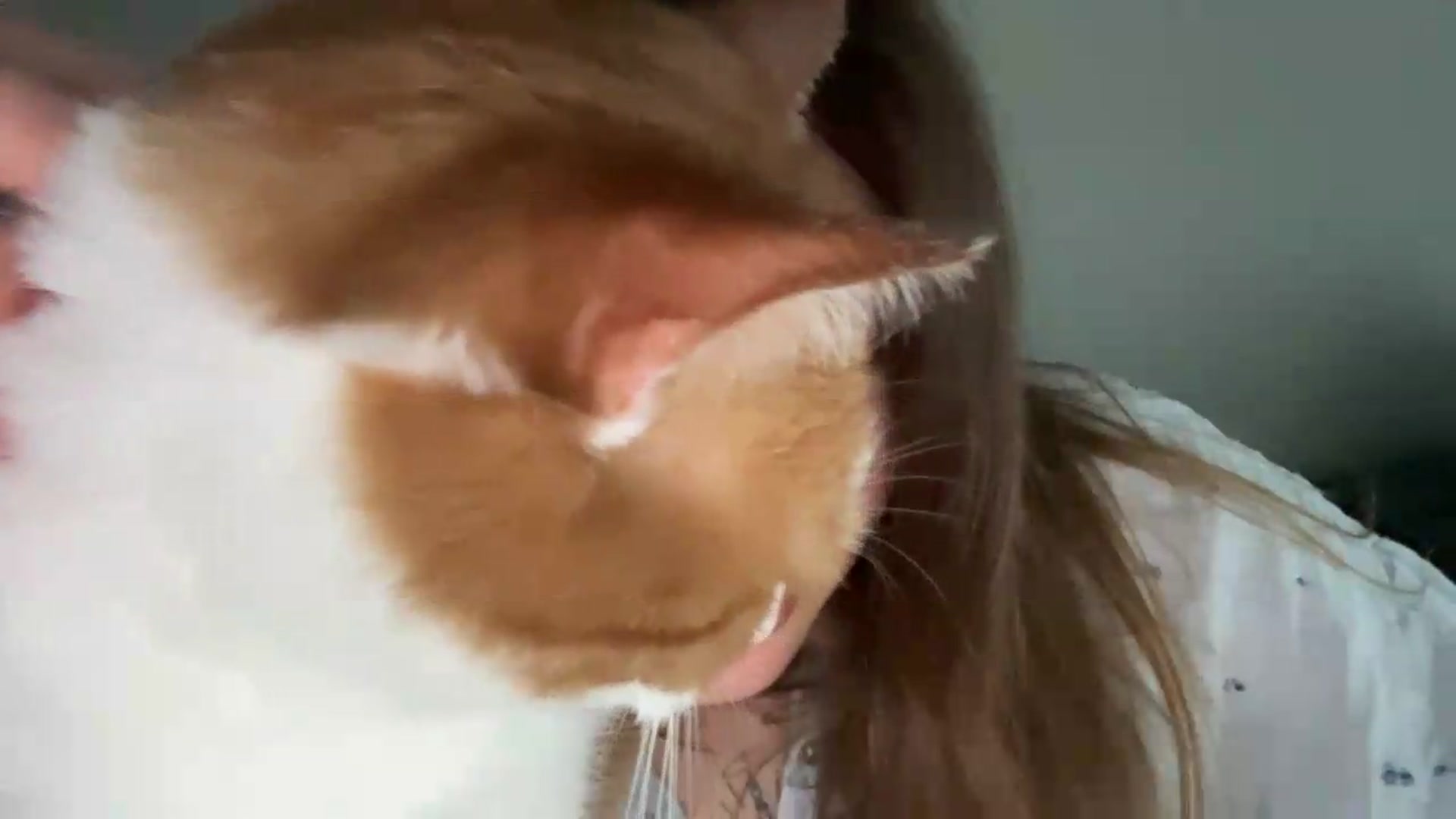 Gallery image thumbnail from BuckwheatLady's myfreecams stream on, 07/07/2026, 15:10 image 4 of 20