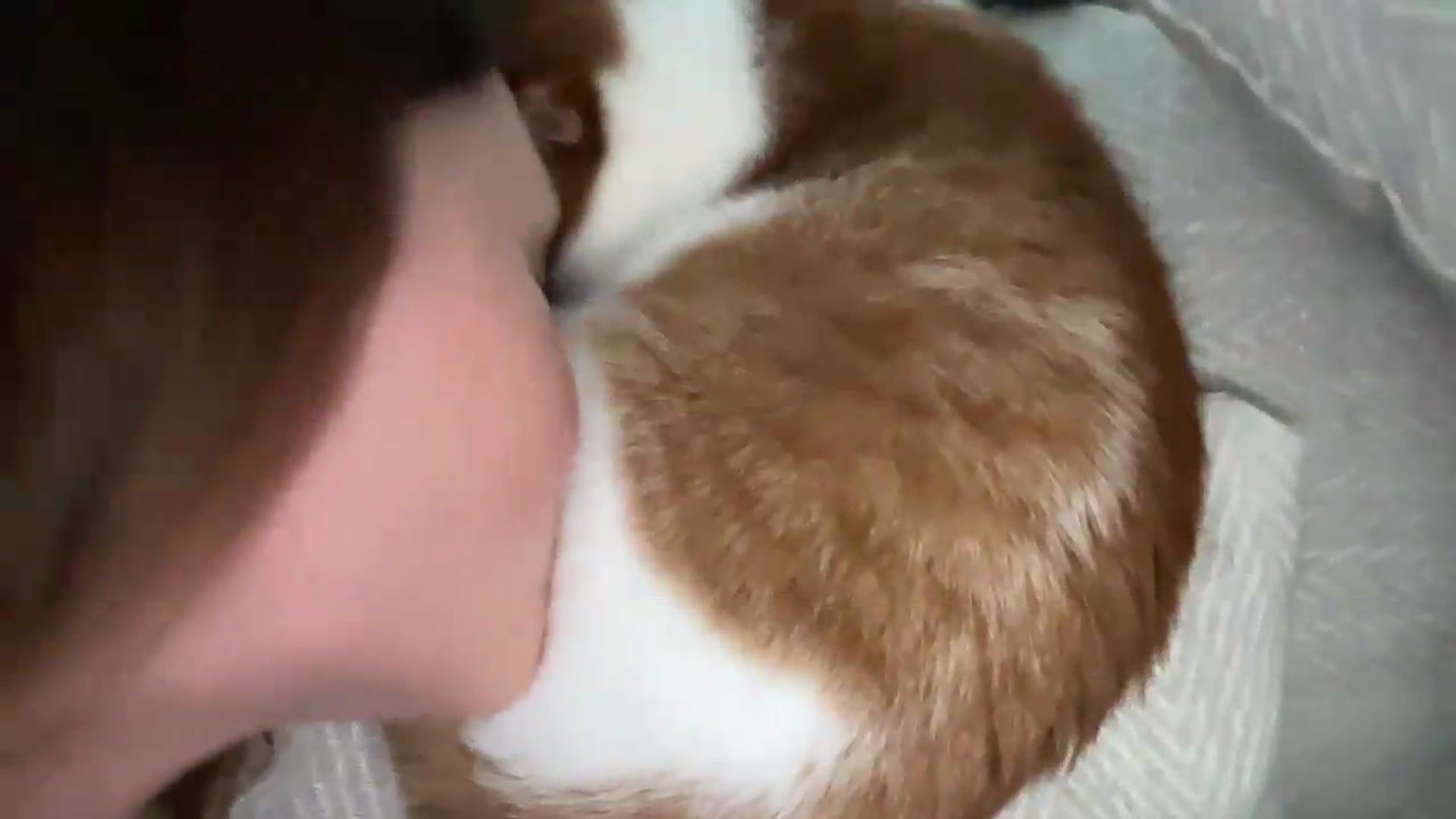 Gallery image thumbnail from BuckwheatLady's myfreecams stream on, 07/28/2026, 14:03 image 3 of 20