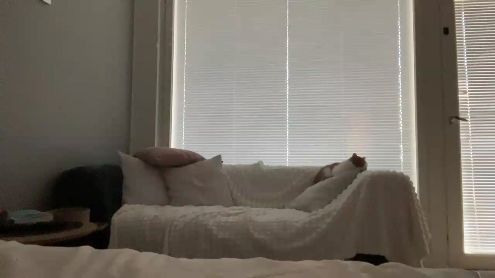 Gallery image thumbnail from BuckwheatLady's myfreecams stream on, 08/04/2026, 14:13 image 3 of 20