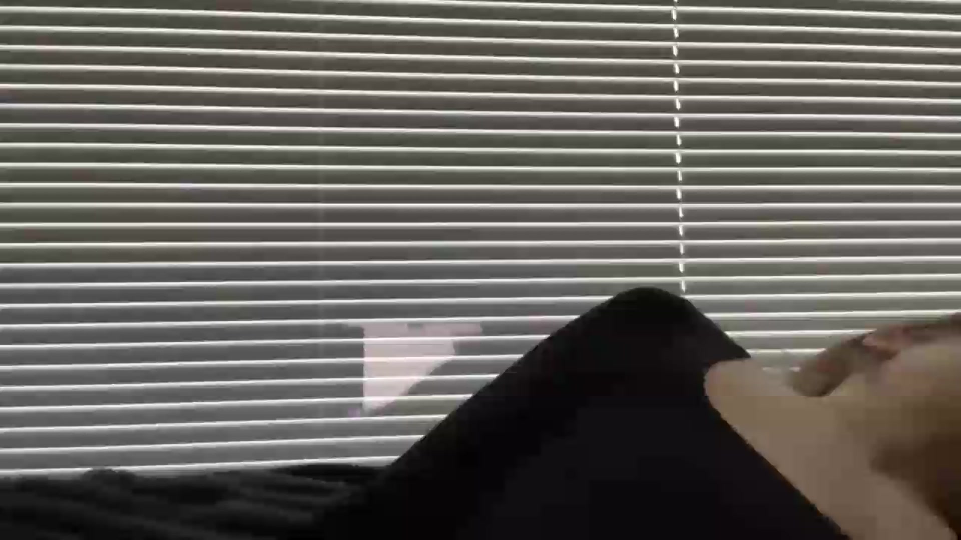 Gallery image thumbnail from BuckwheatLady's myfreecams stream on, 09/03/2026, 13:56 image 1 of 20