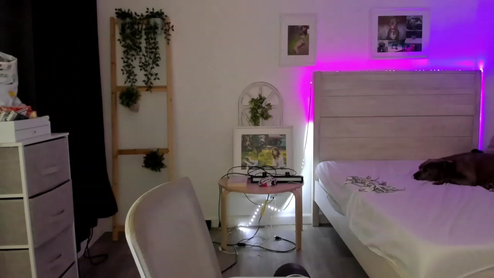 Gallery image thumbnail from Bunni_'s myfreecams stream on, 11/19/2022, 07:27 image 16 of 20