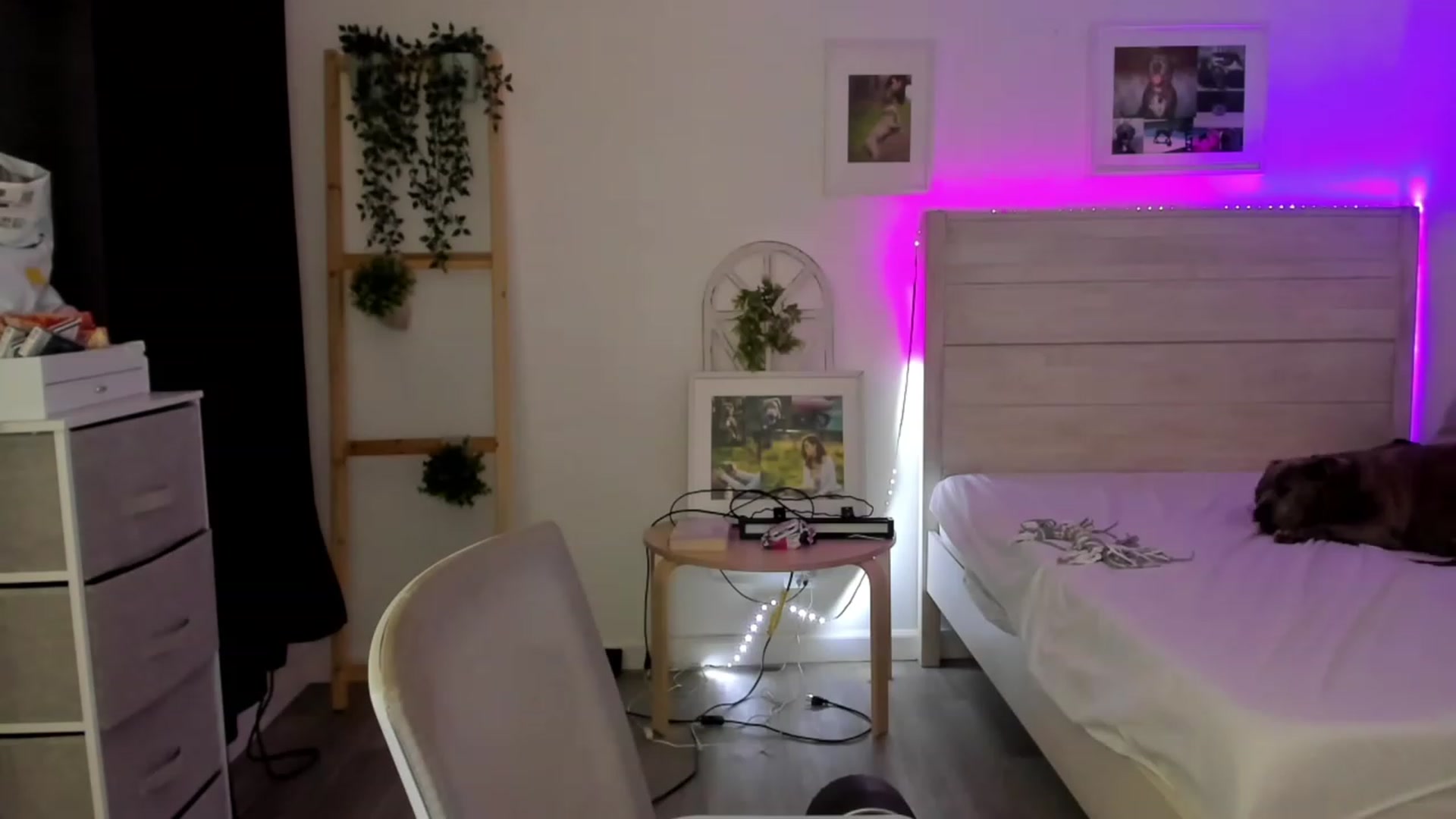 Gallery image thumbnail from Bunni_'s myfreecams stream on, 11/19/2022, 07:27 image 15 of 20