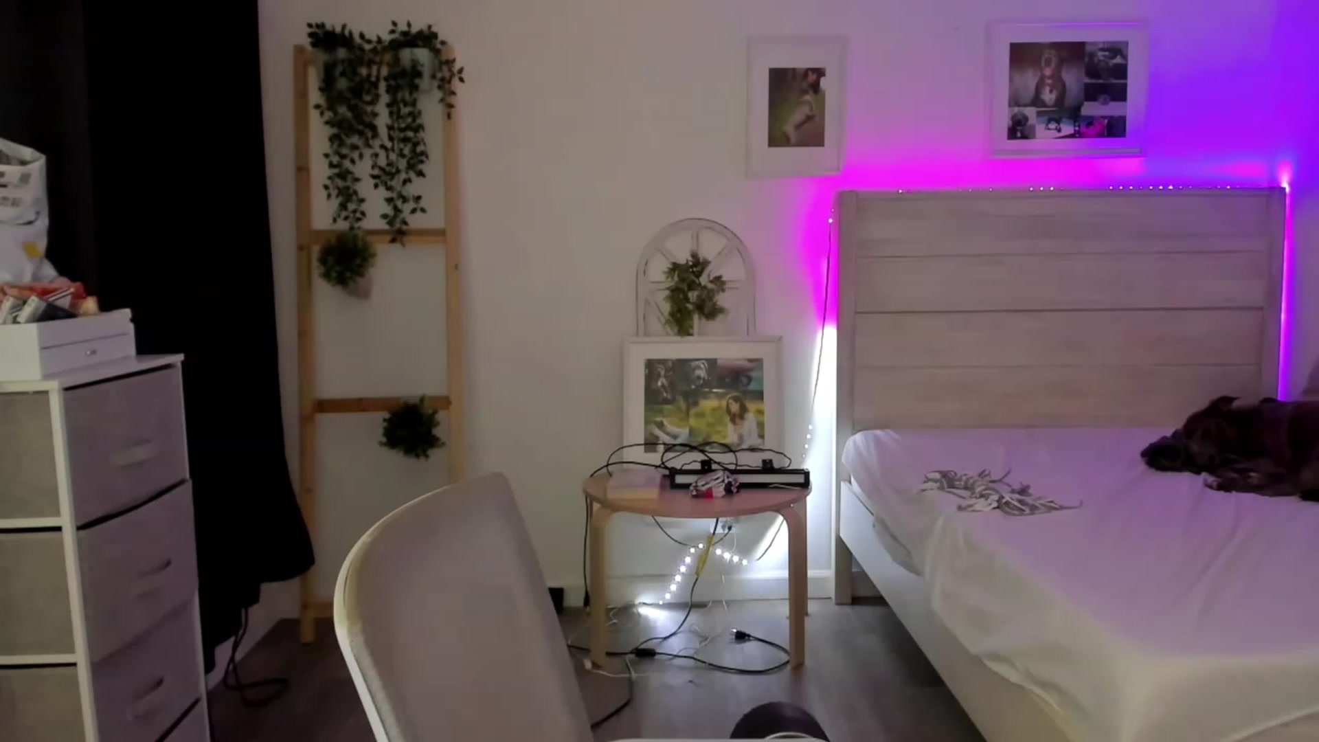 Gallery image thumbnail from Bunni_'s myfreecams stream on, 11/19/2022, 07:27 image 13 of 20