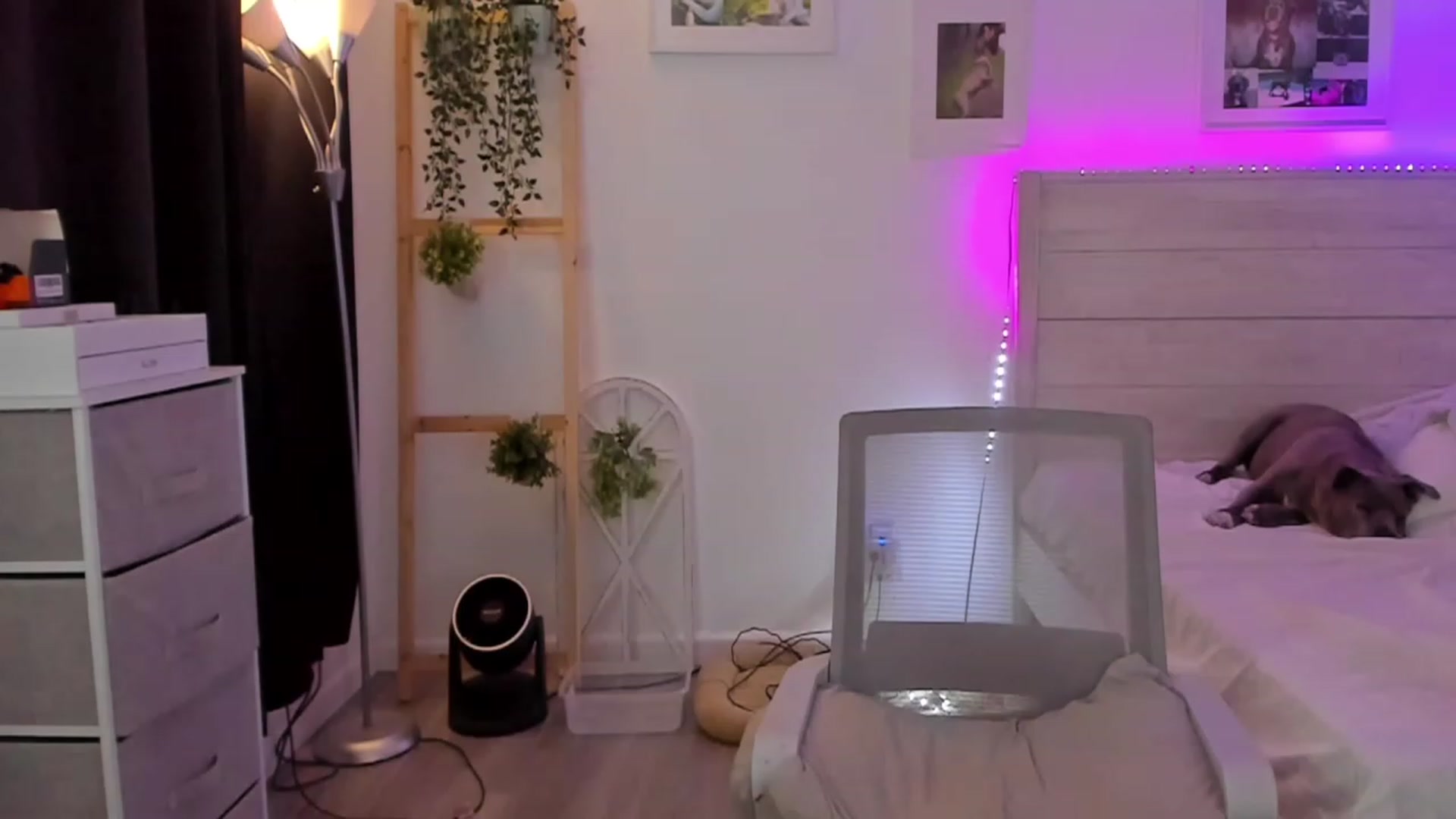 Gallery image thumbnail from Bunni_'s myfreecams stream on, 11/29/2022, 07:31 image 1 of 20