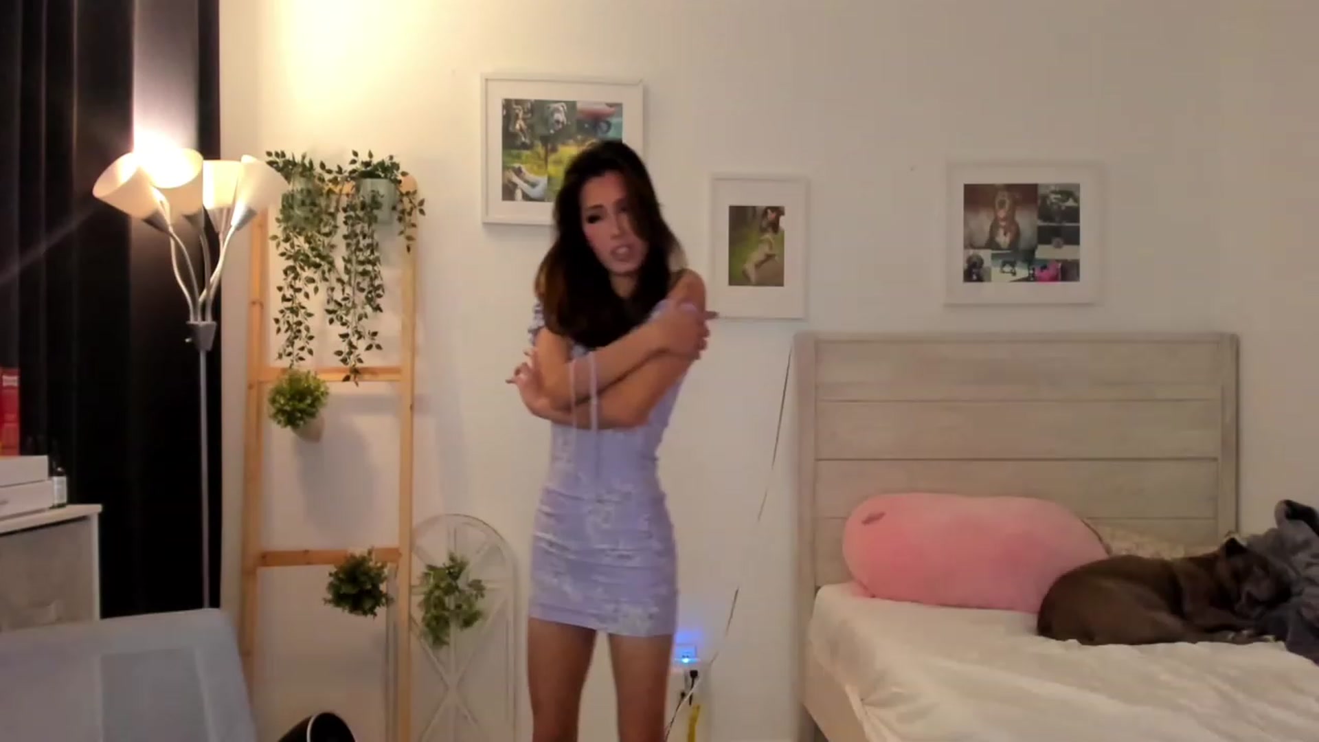Gallery image thumbnail from Bunni_'s myfreecams stream on, 12/12/2022, 07:54 image 16 of 20