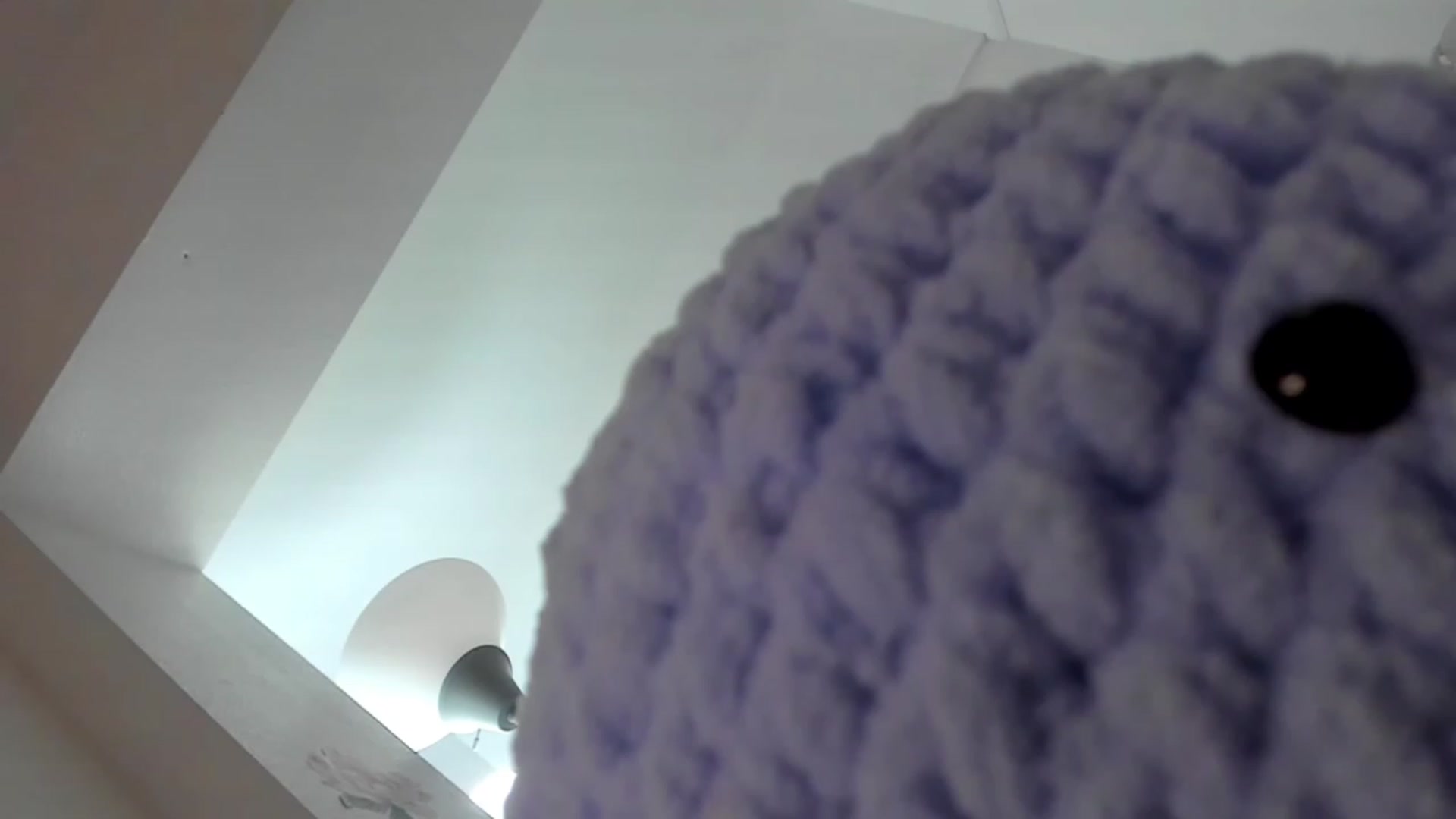 Gallery image thumbnail from Bunni_'s myfreecams stream on, 12/17/2022, 07:59 image 2 of 20