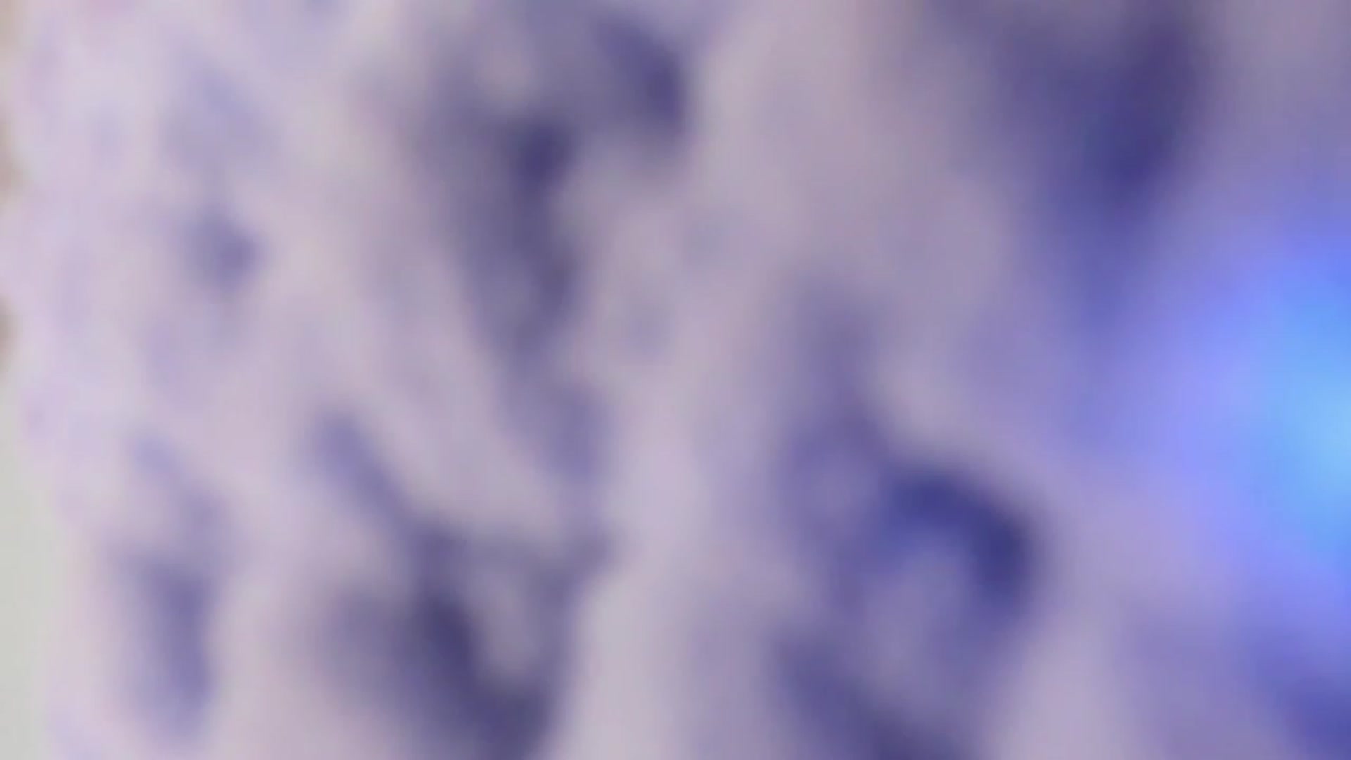 Gallery image thumbnail from Bunni_'s myfreecams stream on, 12/17/2022, 07:59 image 1 of 20