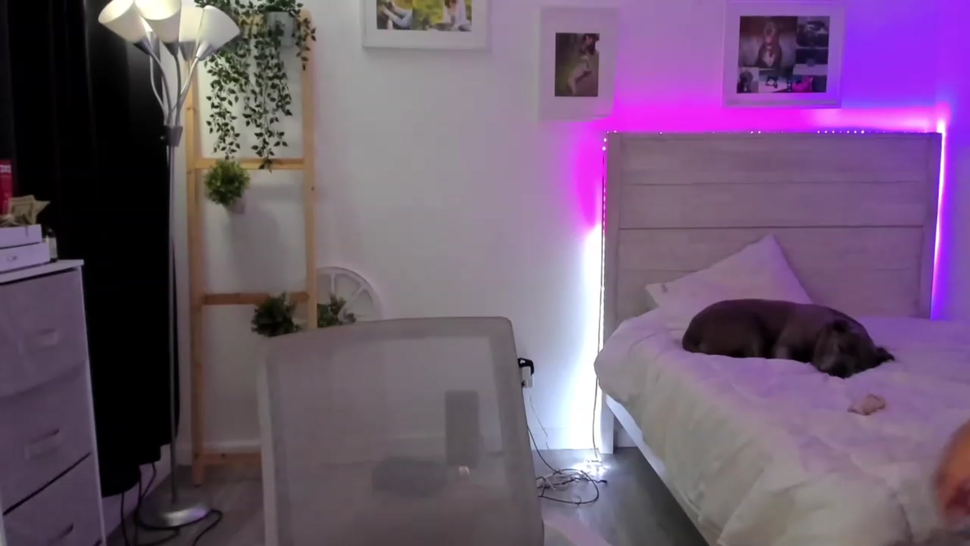 Gallery image thumbnail from Bunni_'s myfreecams stream on, 12/31/2022, 08:13 image 10 of 20