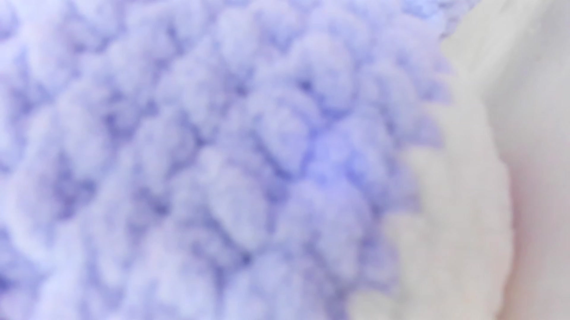 Gallery image thumbnail from Bunni_'s myfreecams stream on, 01/09/2023, 07:28 image 1 of 20
