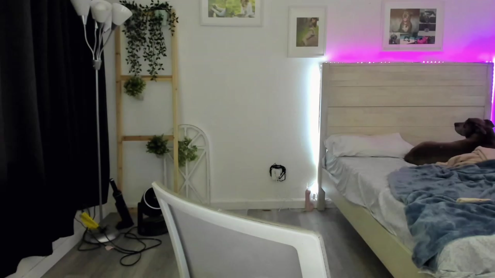 Gallery image thumbnail from Bunni_'s myfreecams stream on, 01/15/2023, 07:41 image 11 of 20