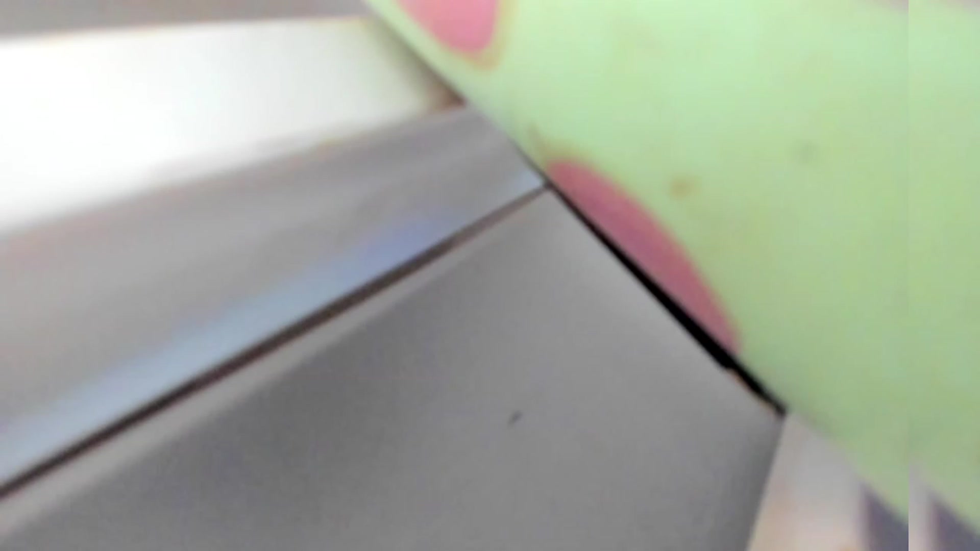 Gallery image thumbnail from Bunni_'s myfreecams stream on, 02/11/2023, 06:12 image 7 of 20