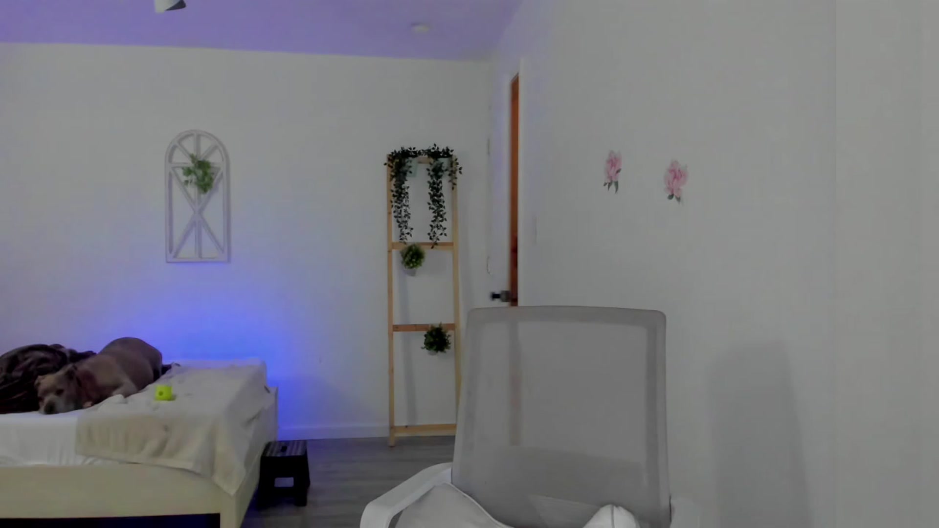 Gallery image thumbnail from Bunni_'s myfreecams stream on, 03/01/2023, 07:20 image 3 of 20