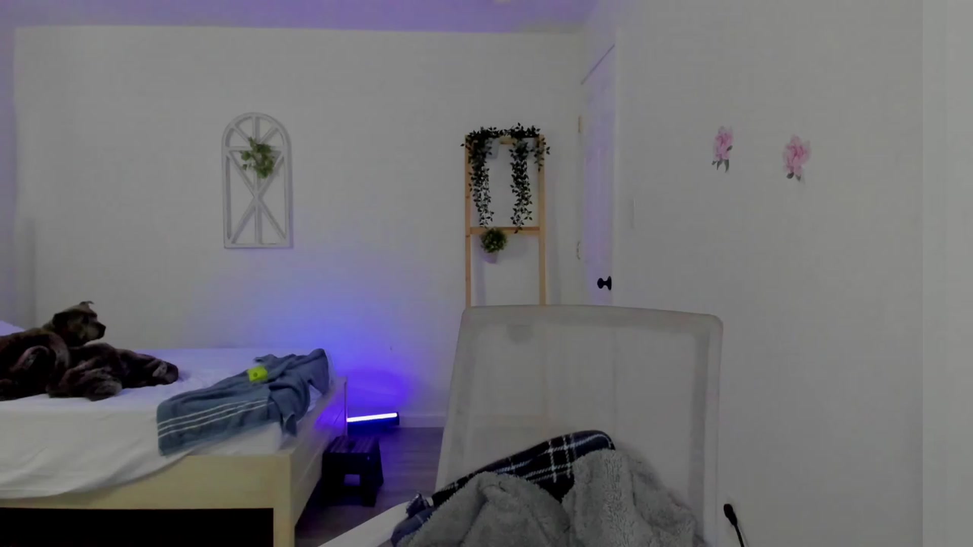 Gallery image thumbnail from Bunni_'s myfreecams stream on, 03/05/2023, 08:58 image 4 of 20