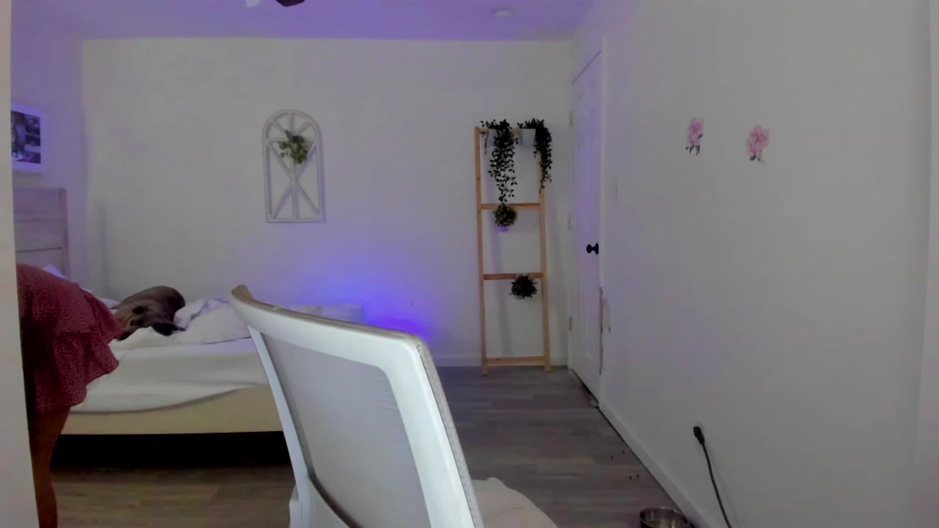 Gallery image thumbnail from Bunni_'s myfreecams stream on, 03/11/2023, 07:34 image 2 of 20