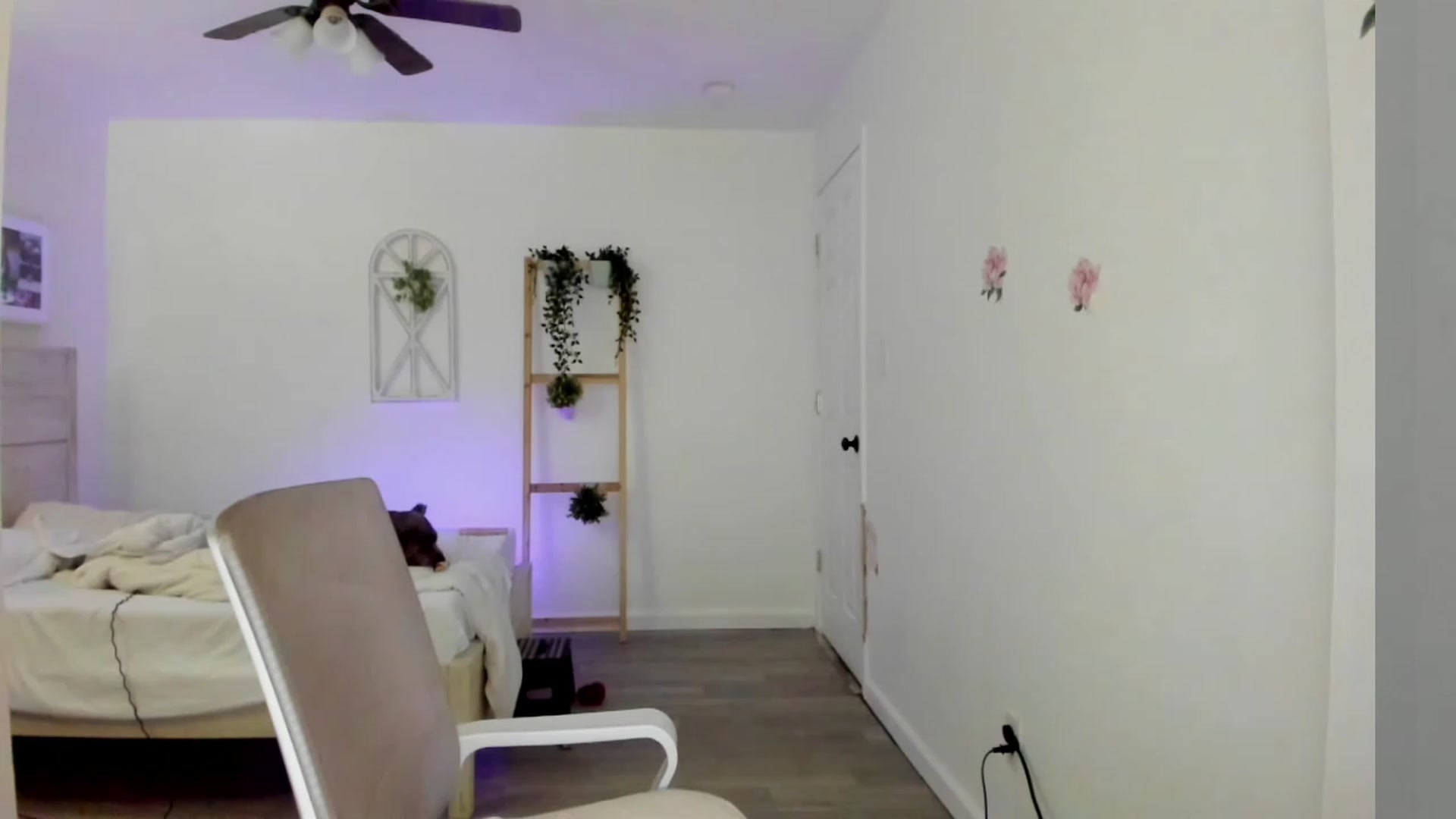 Gallery image thumbnail from Bunni_'s myfreecams stream on, 03/14/2023, 06:24 image 3 of 20