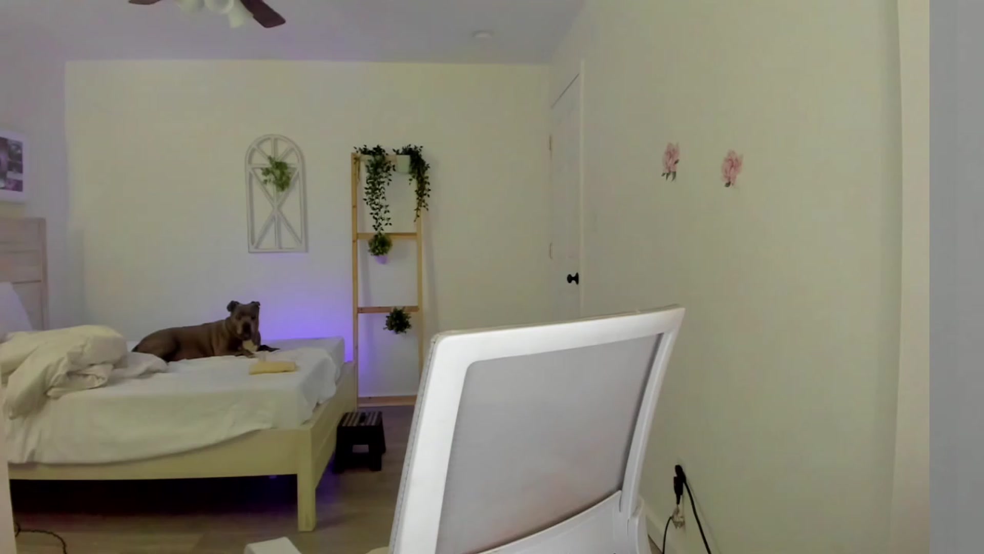 Gallery image thumbnail from Bunni_'s myfreecams stream on, 03/15/2023, 05:49 image 6 of 20