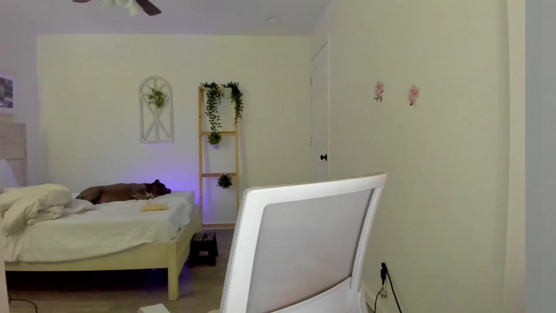 Gallery image thumbnail from Bunni_'s myfreecams stream on, 03/15/2023, 05:49 image 5 of 20