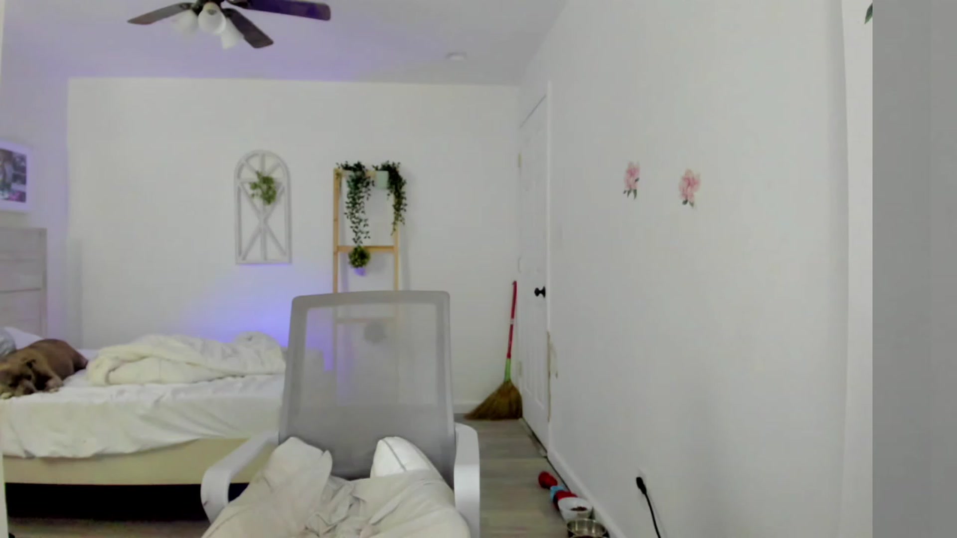 Gallery image thumbnail from Bunni_'s myfreecams stream on, 03/17/2023, 07:04 image 4 of 20