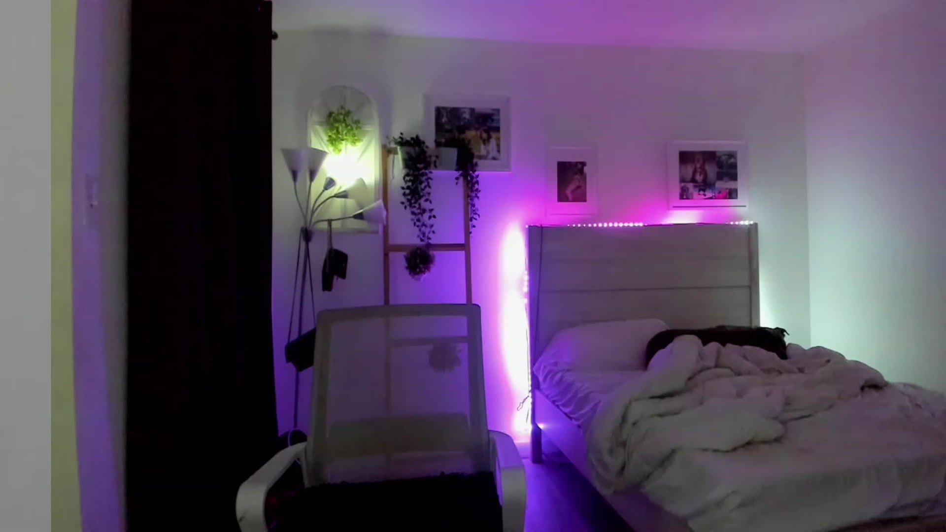Gallery image thumbnail from Bunni_'s myfreecams stream on, 04/02/2023, 06:51 image 3 of 20