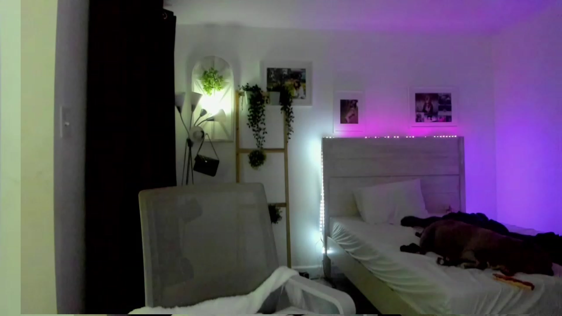 Gallery image thumbnail from Bunni_'s myfreecams stream on, 04/10/2023, 06:40 image 2 of 20