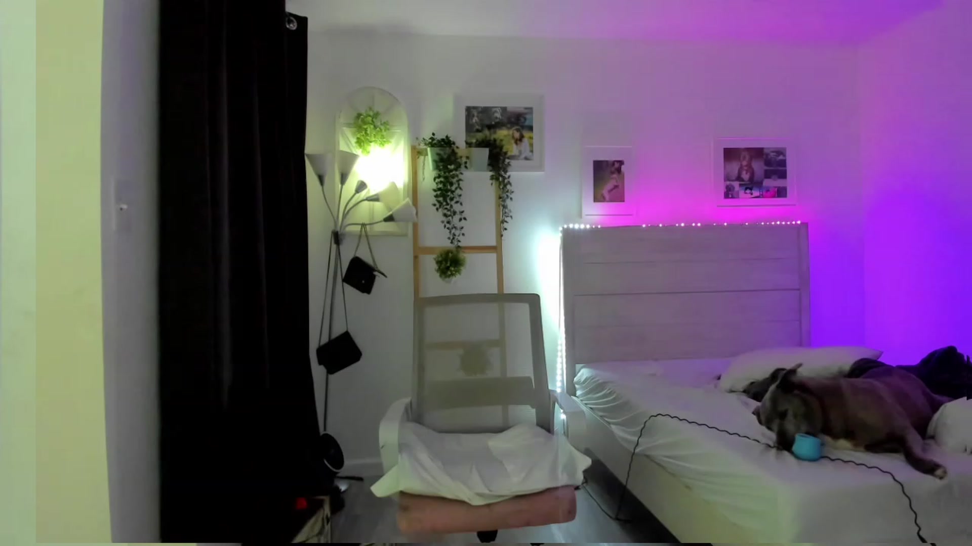 Gallery image thumbnail from Bunni_'s myfreecams stream on, 04/16/2023, 06:40 image 7 of 20