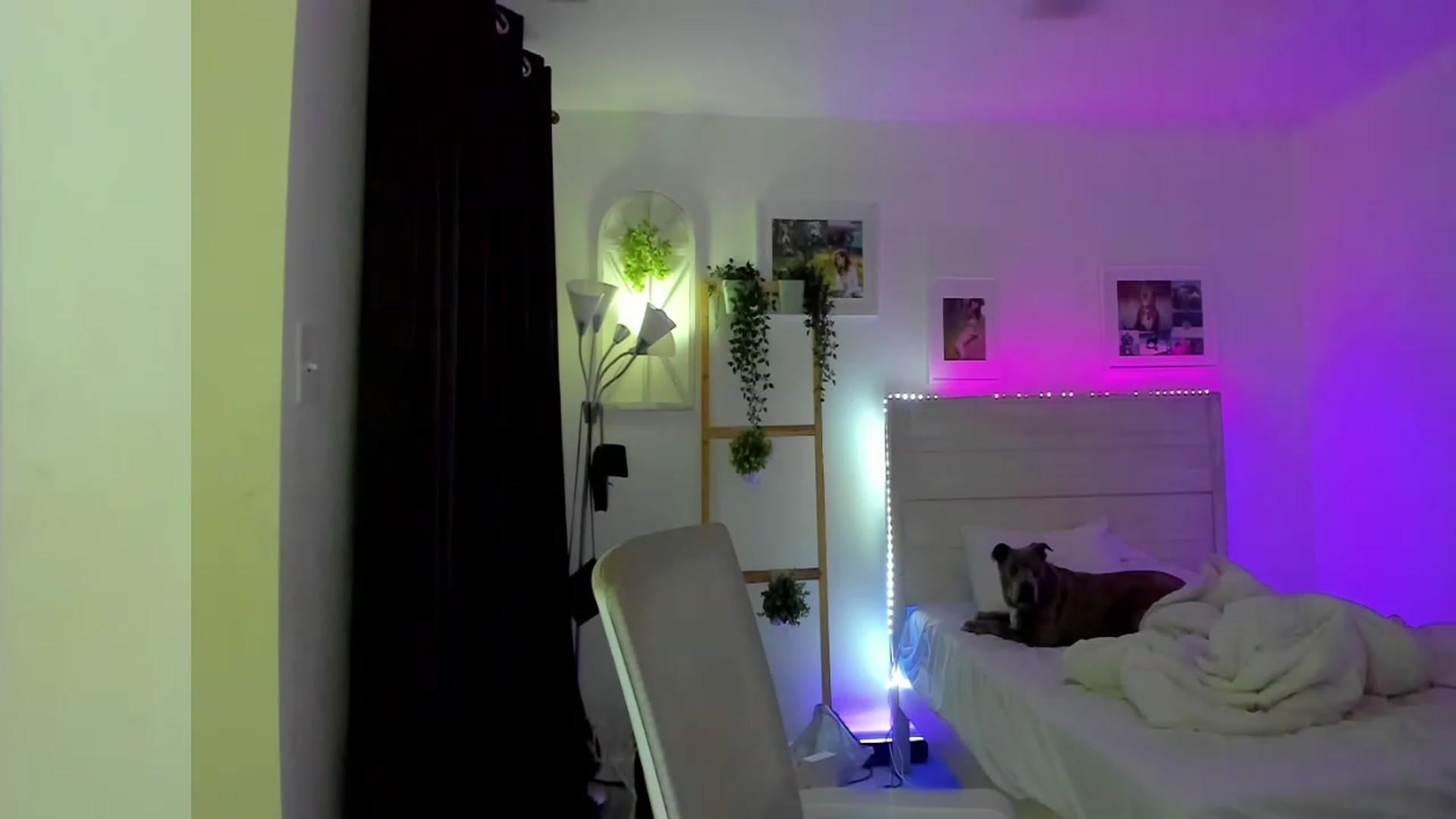 Gallery image thumbnail from Bunni_'s myfreecams stream on, 04/25/2023, 06:17 image 3 of 20