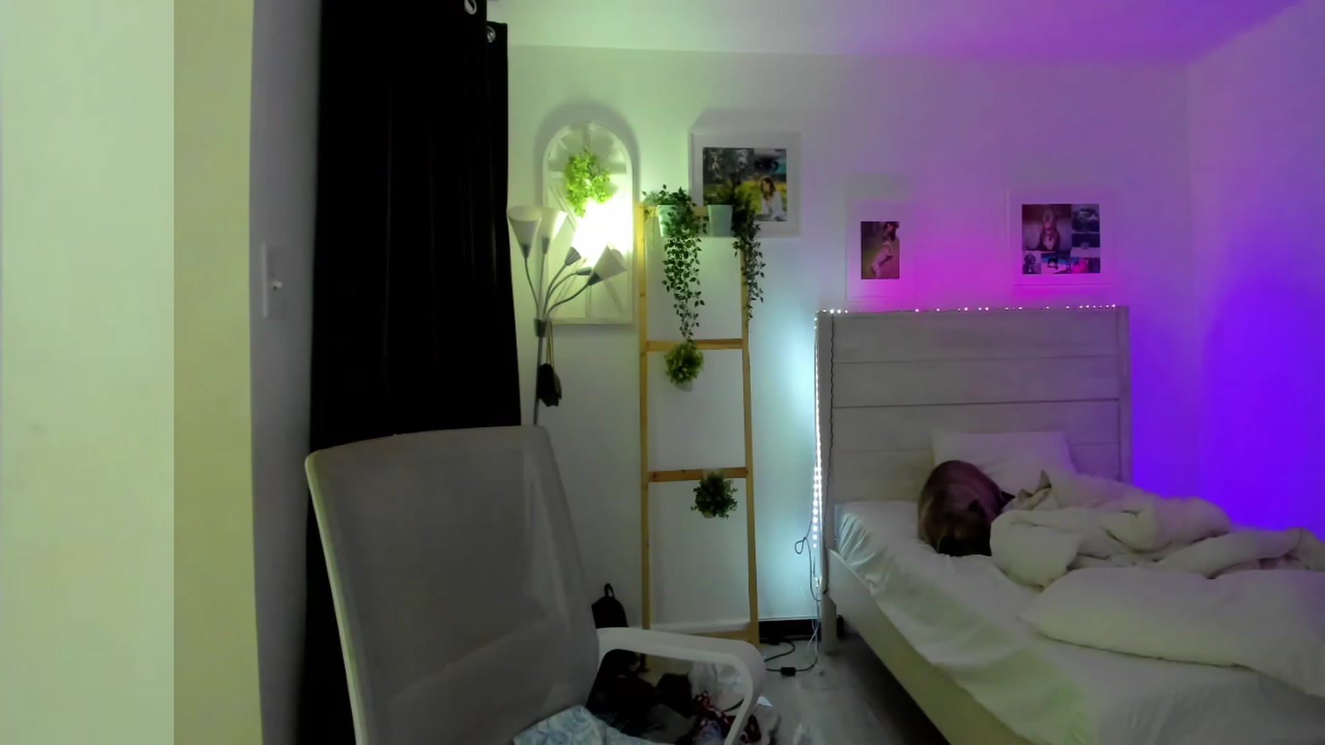 Gallery image thumbnail from Bunni_'s myfreecams stream on, 05/03/2023, 05:59 image 18 of 20