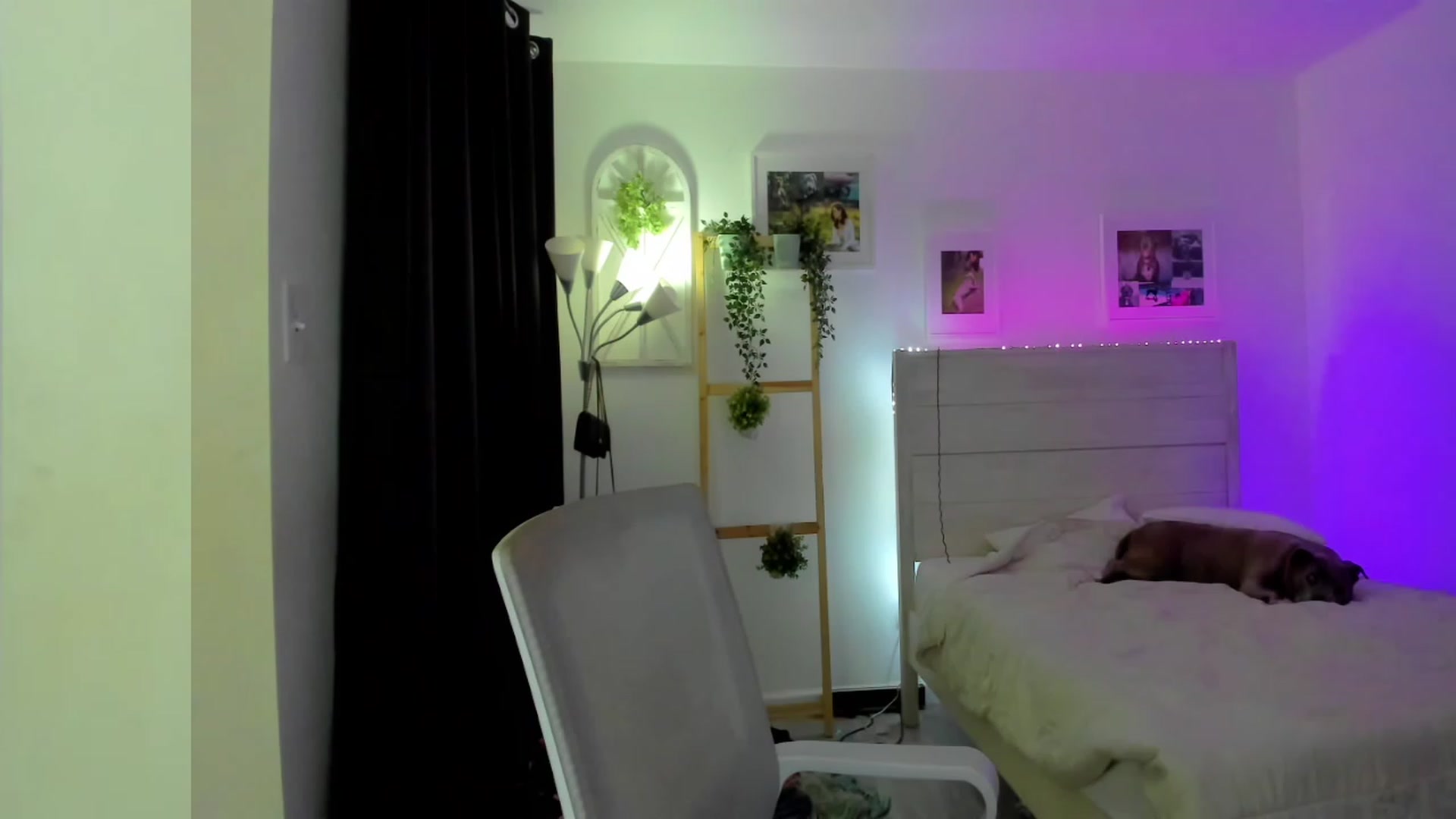 Gallery image thumbnail from Bunni_'s myfreecams stream on, 05/05/2023, 07:03 image 6 of 20
