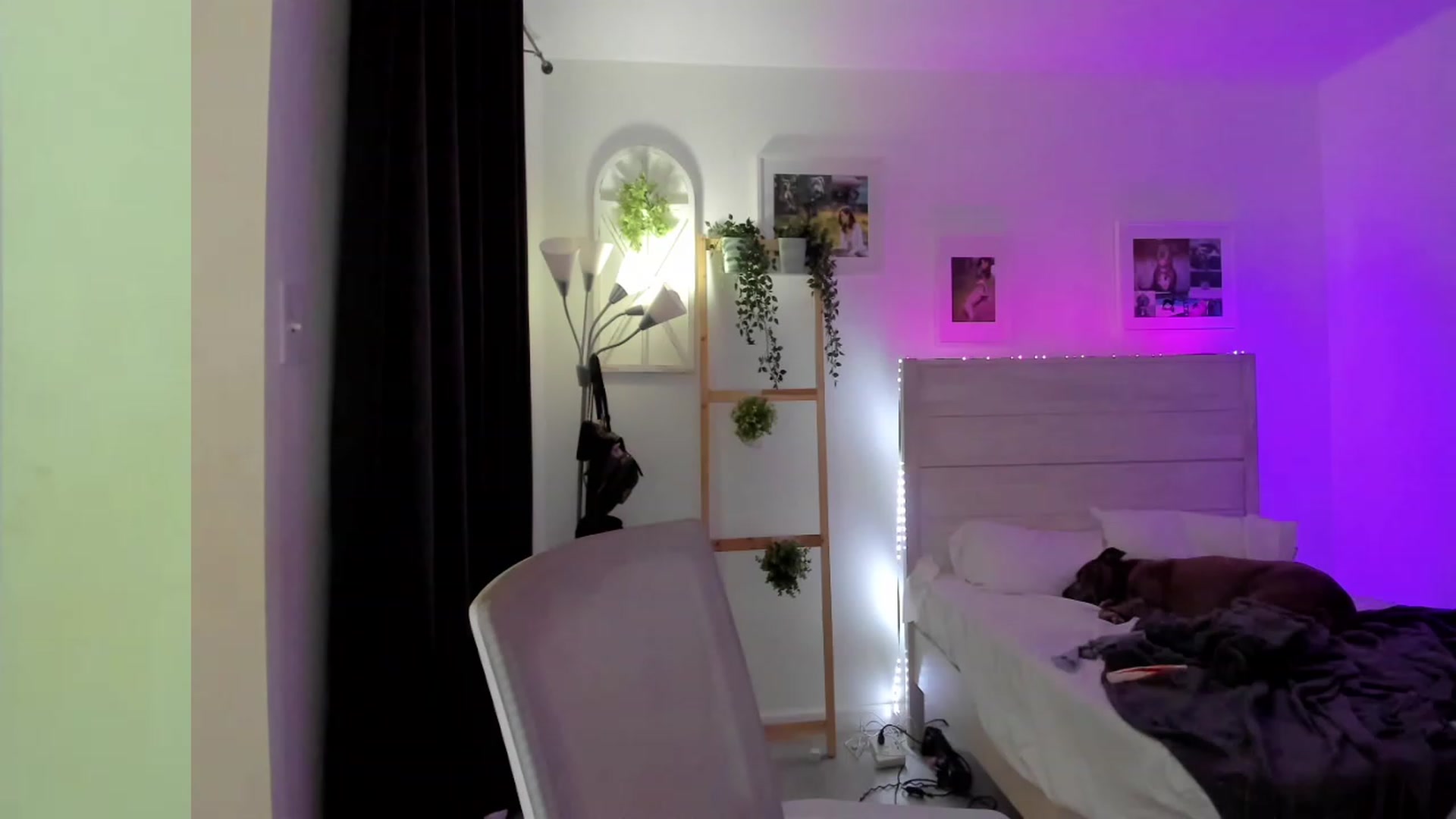 Gallery image thumbnail from Bunni_'s myfreecams stream on, 05/13/2023, 06:37 image 3 of 20