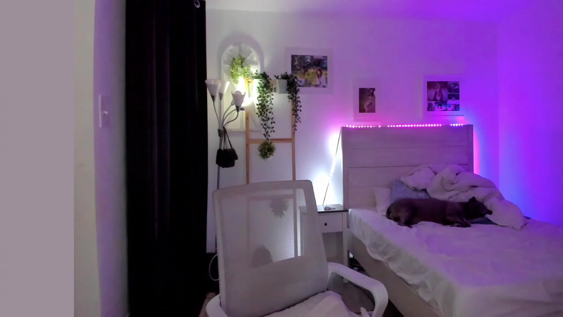 Gallery image thumbnail from Bunni_'s myfreecams stream on, 05/19/2023, 06:58 image 12 of 20