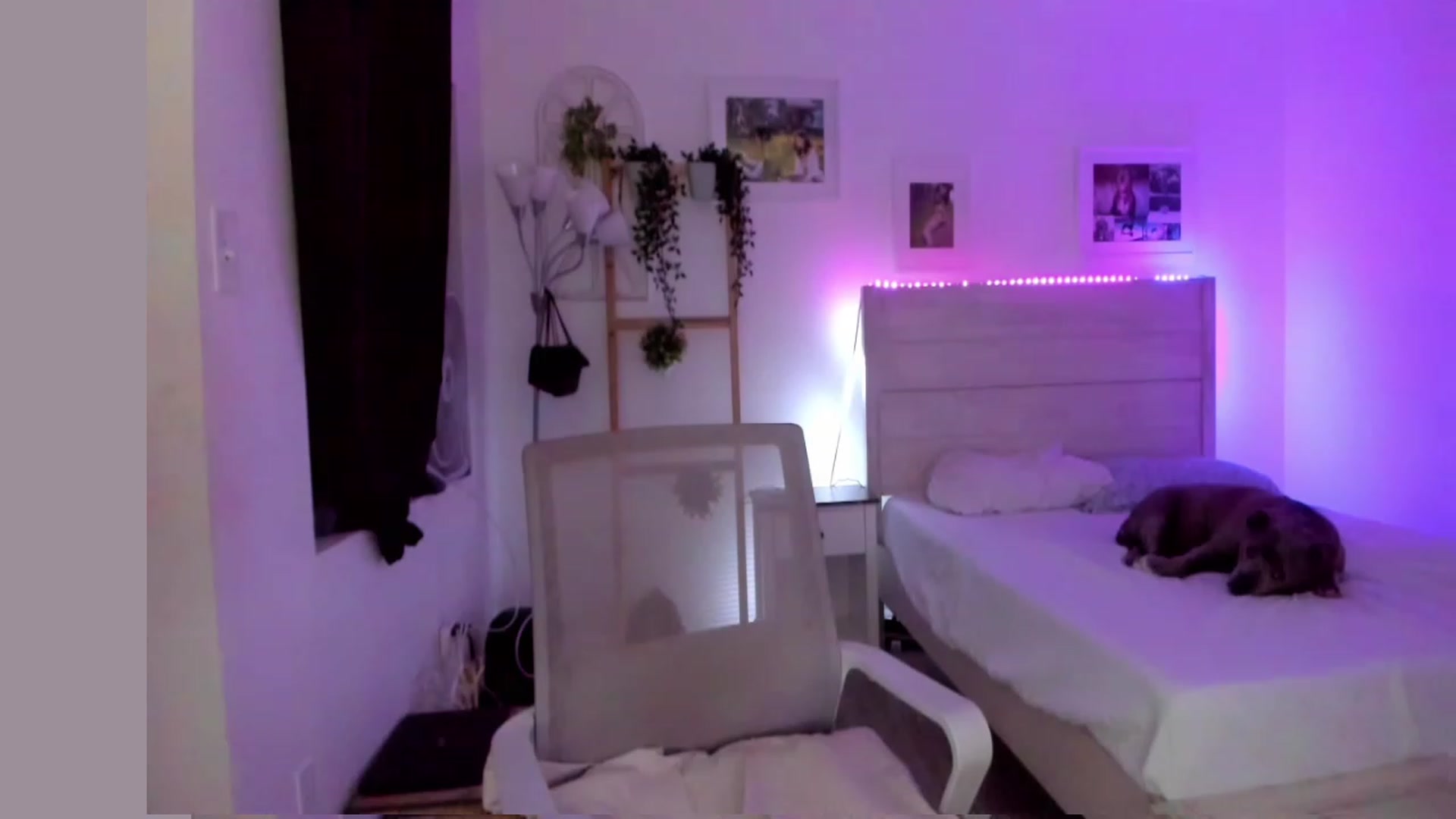 Gallery image thumbnail from Bunni_'s myfreecams stream on, 05/21/2023, 06:11 image 9 of 20
