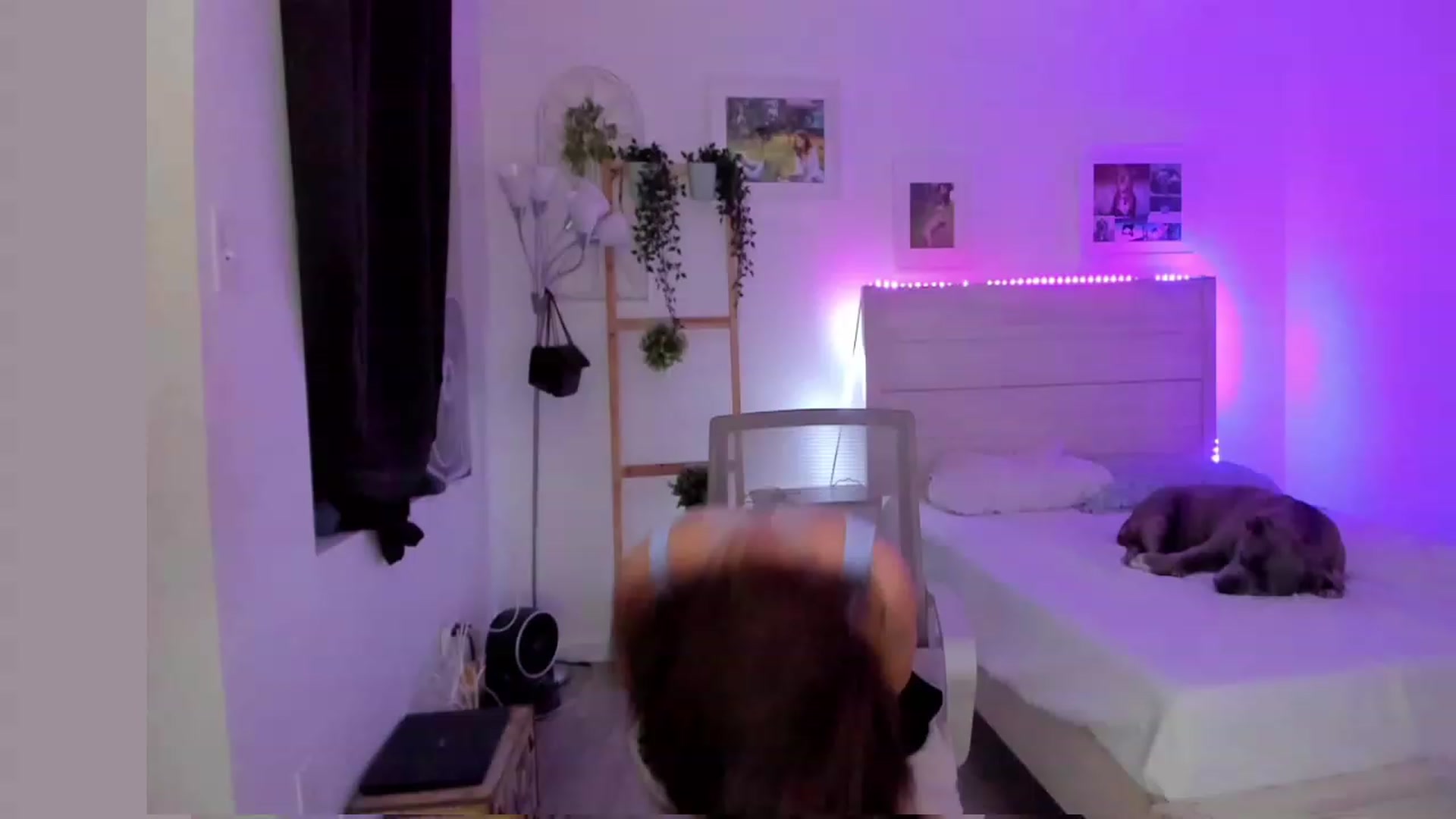 Gallery image thumbnail from Bunni_'s myfreecams stream on, 05/21/2023, 06:11 image 7 of 20